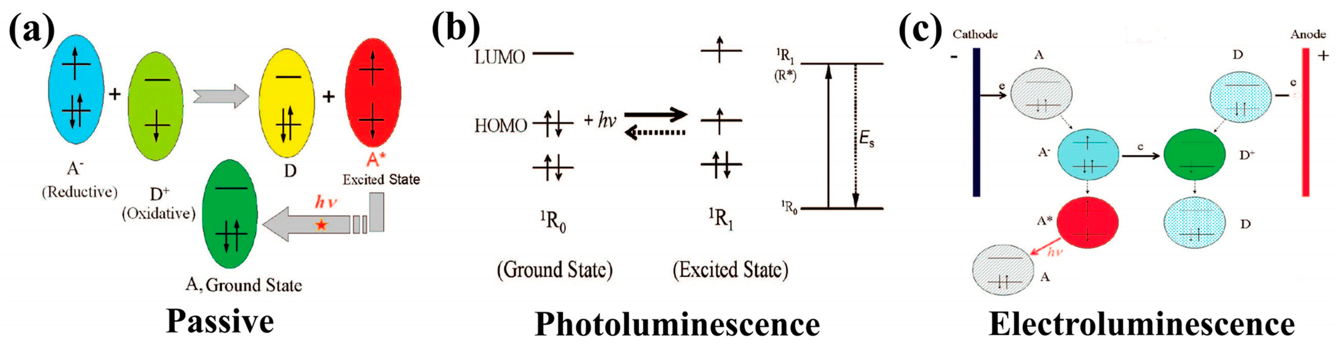 Biosensors 14 00148 g004