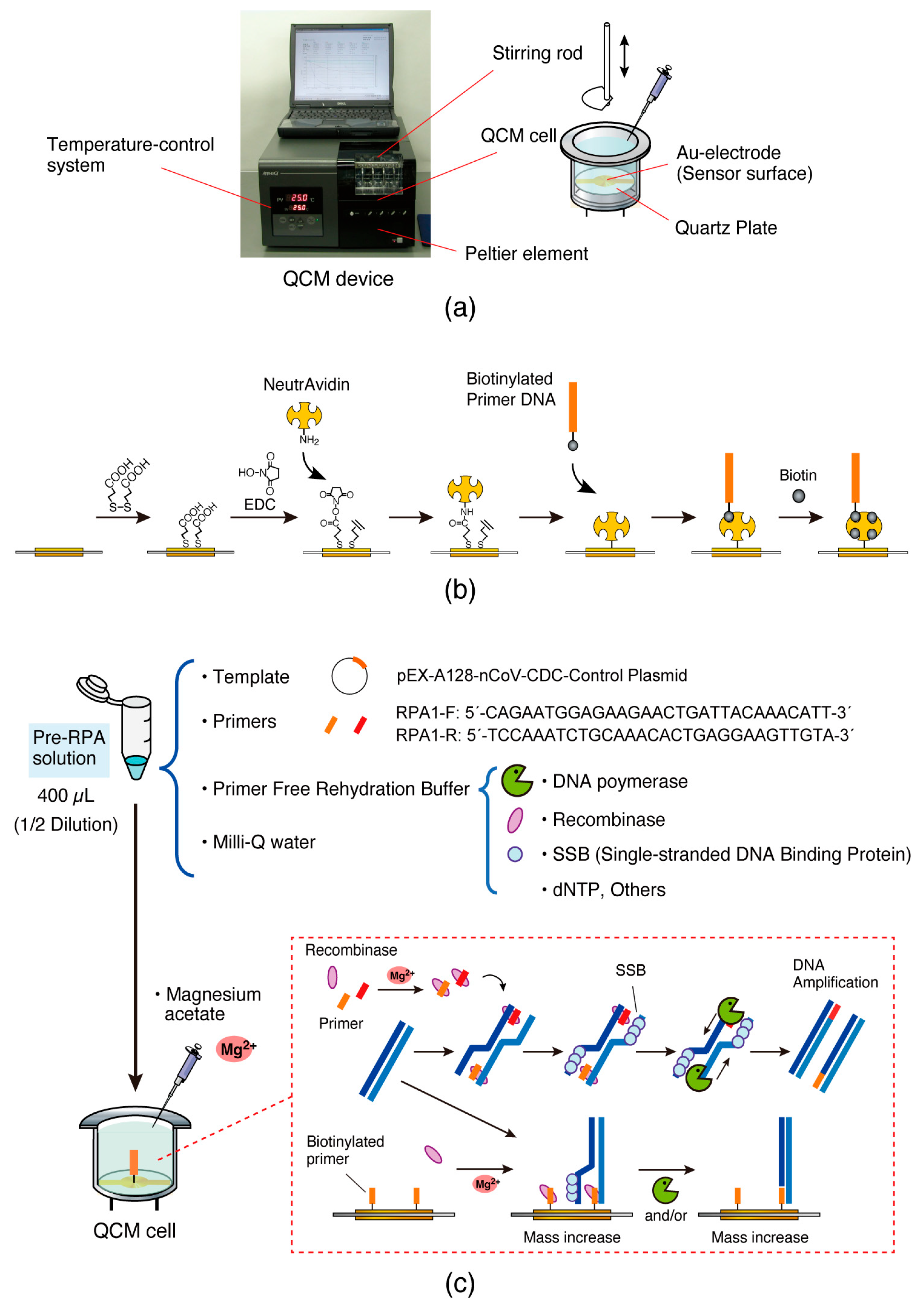 Biosensors 14 00155 g001 Biosensors 14 00155 g001