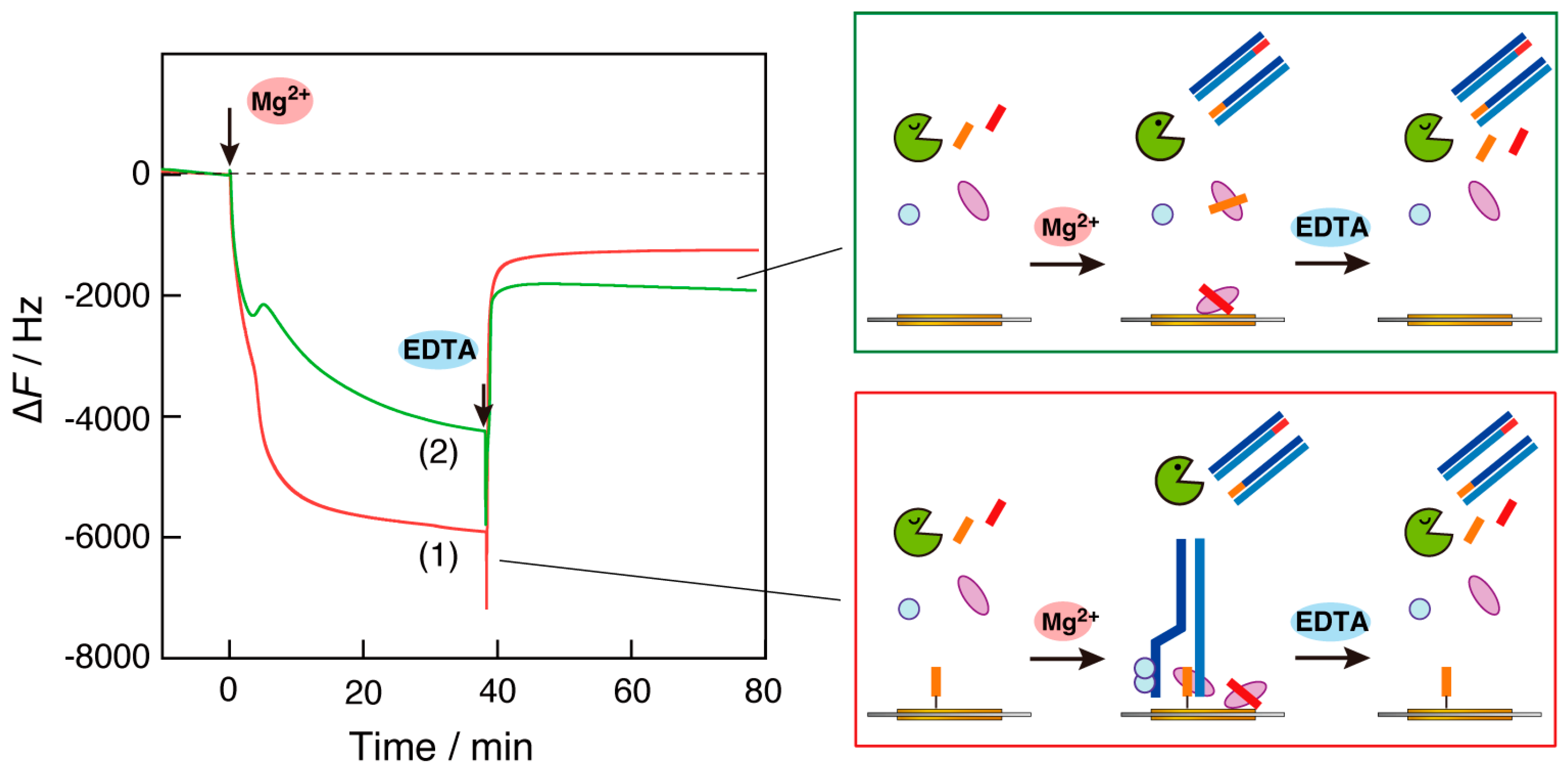 Biosensors 14 00155 g006 Biosensors 14 00155 g006