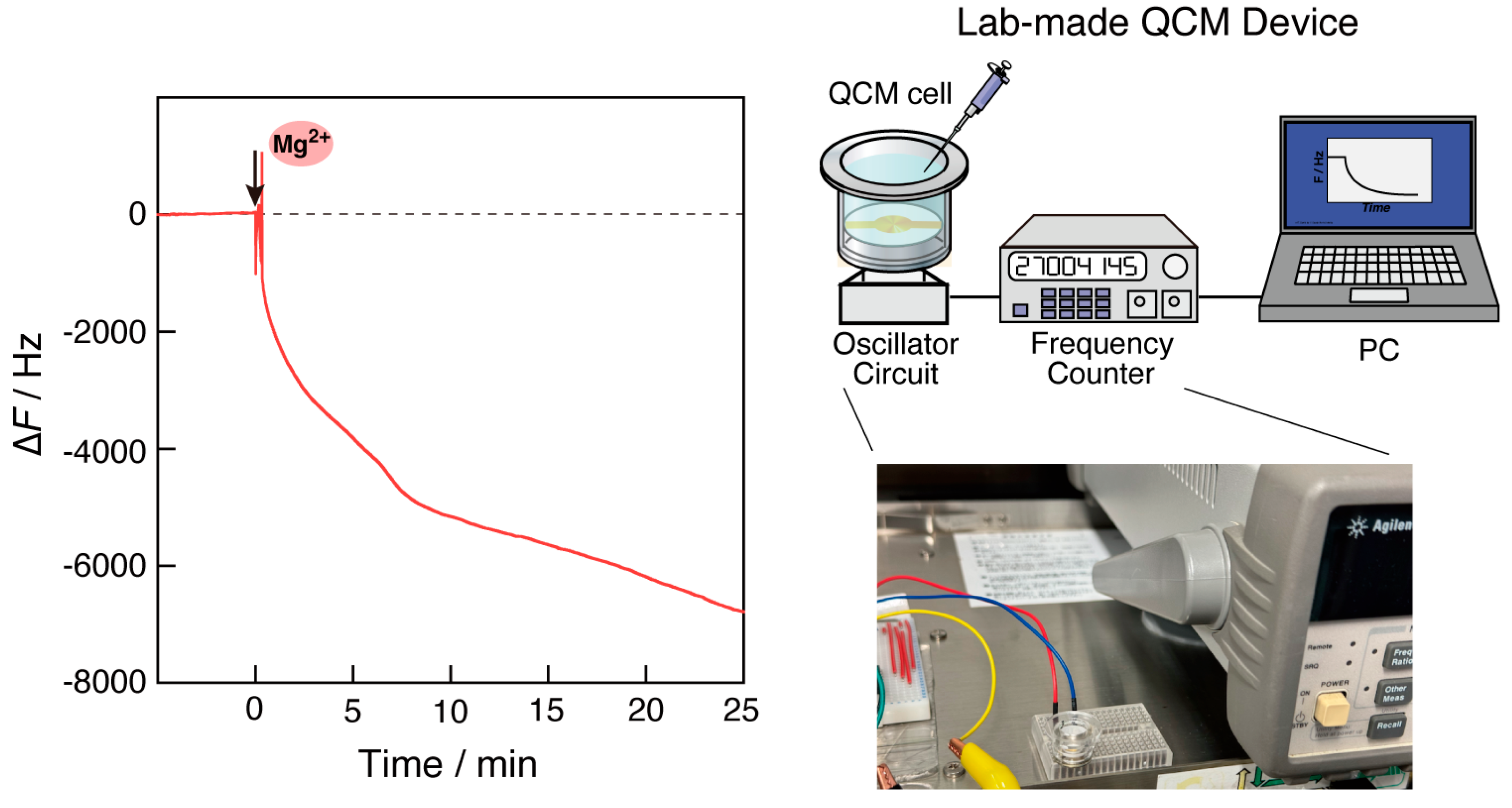 Biosensors 14 00155 g008 Biosensors 14 00155 g008