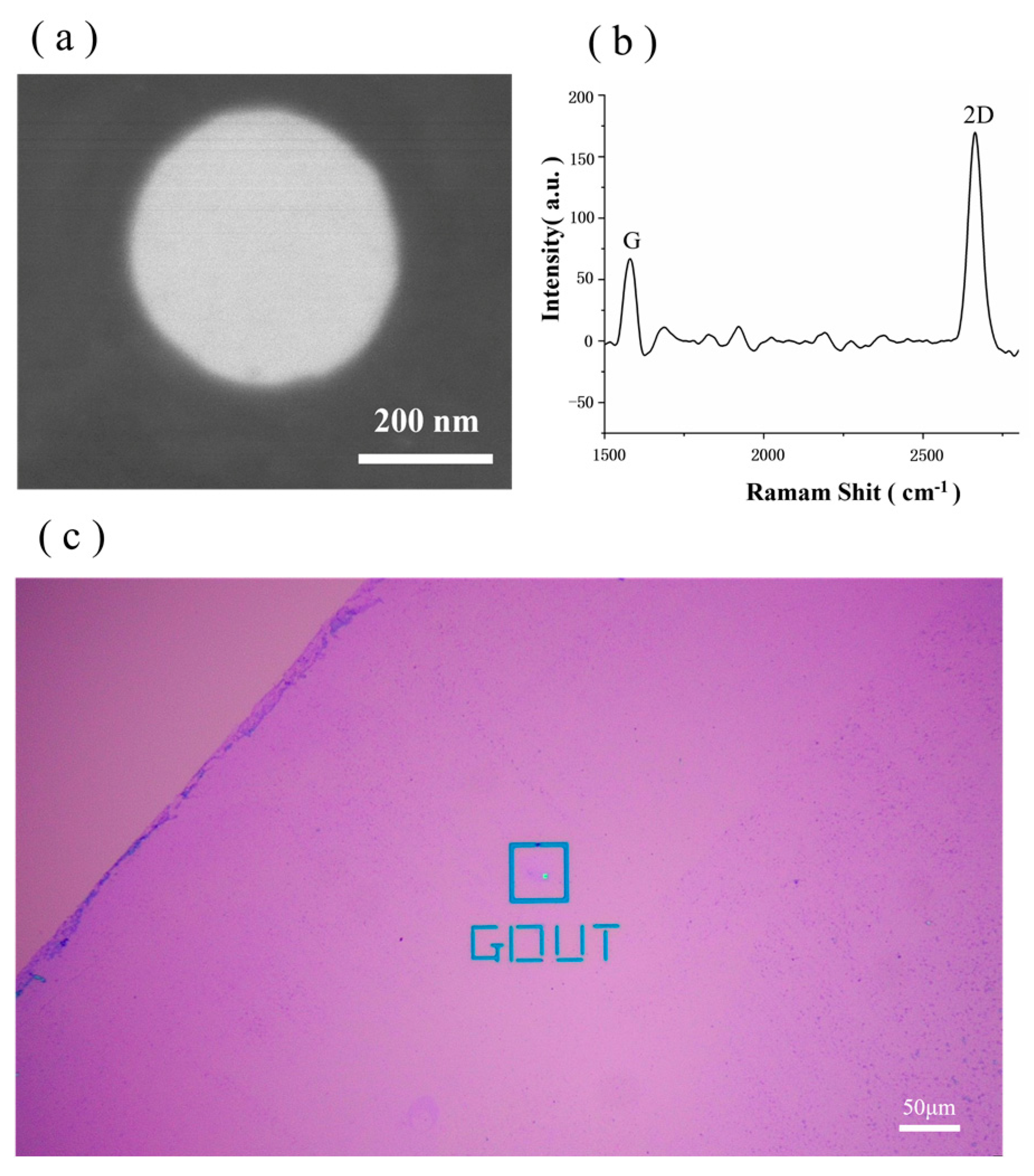 Biosensors 14 00158 g003