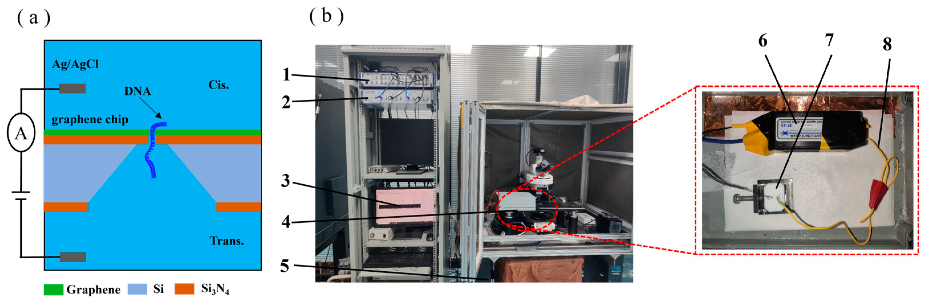 Biosensors 14 00158 g004