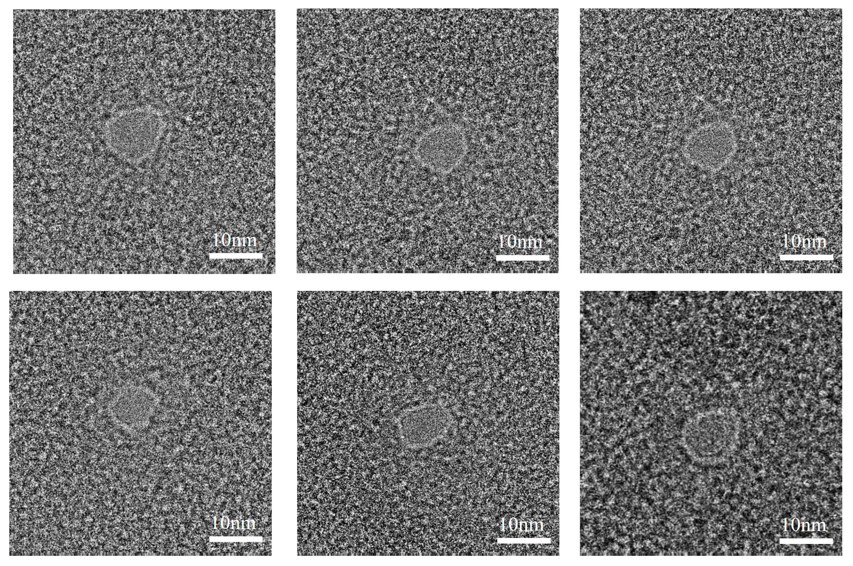 Biosensors 14 00158 g008