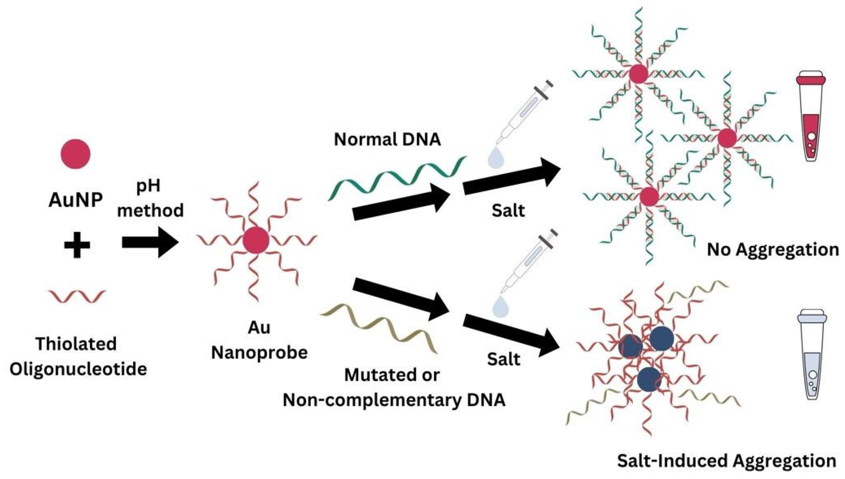 Biosensors 14 00162 g001