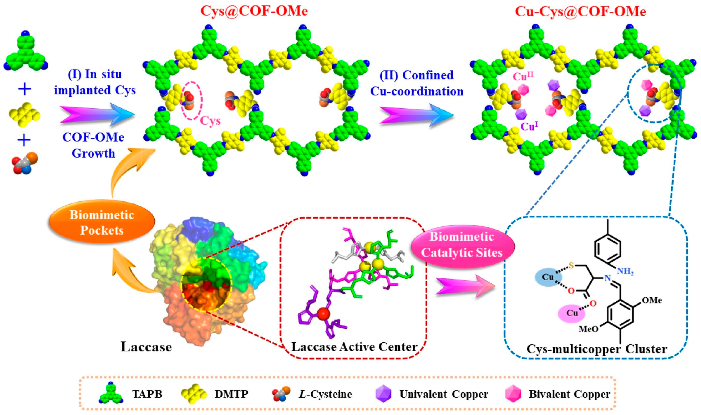 Biosensors 14 00163 g005