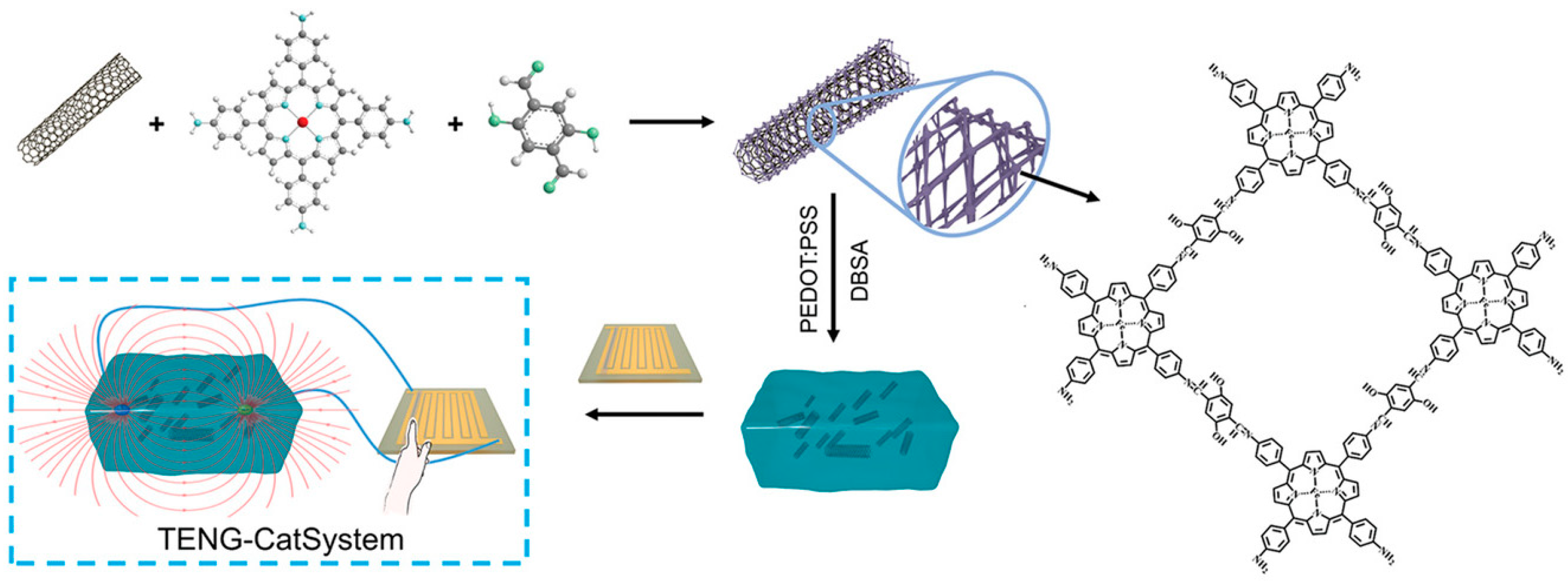Biosensors 14 00163 g006