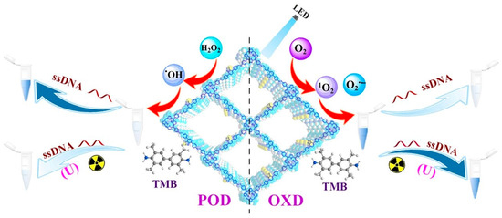 Research Progress on the Application of Covalent Organic