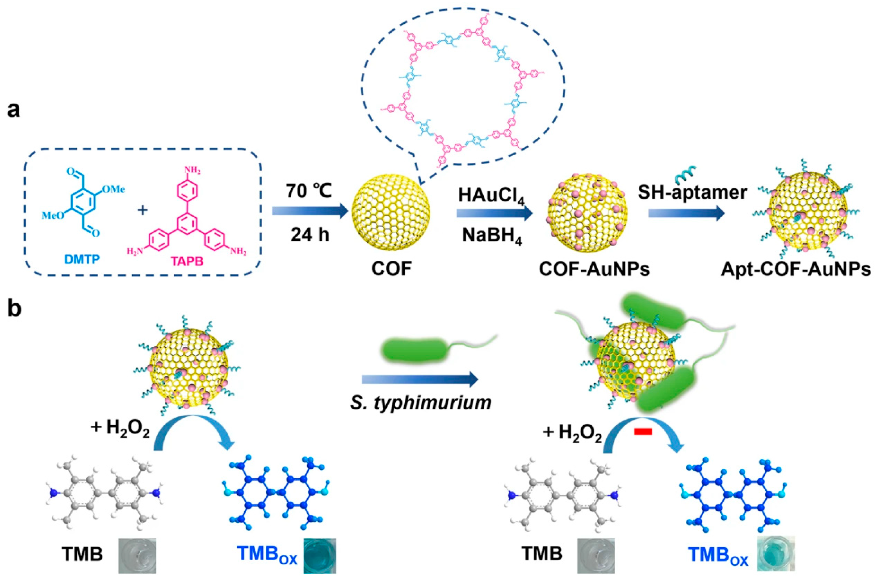 Biosensors 14 00163 g009