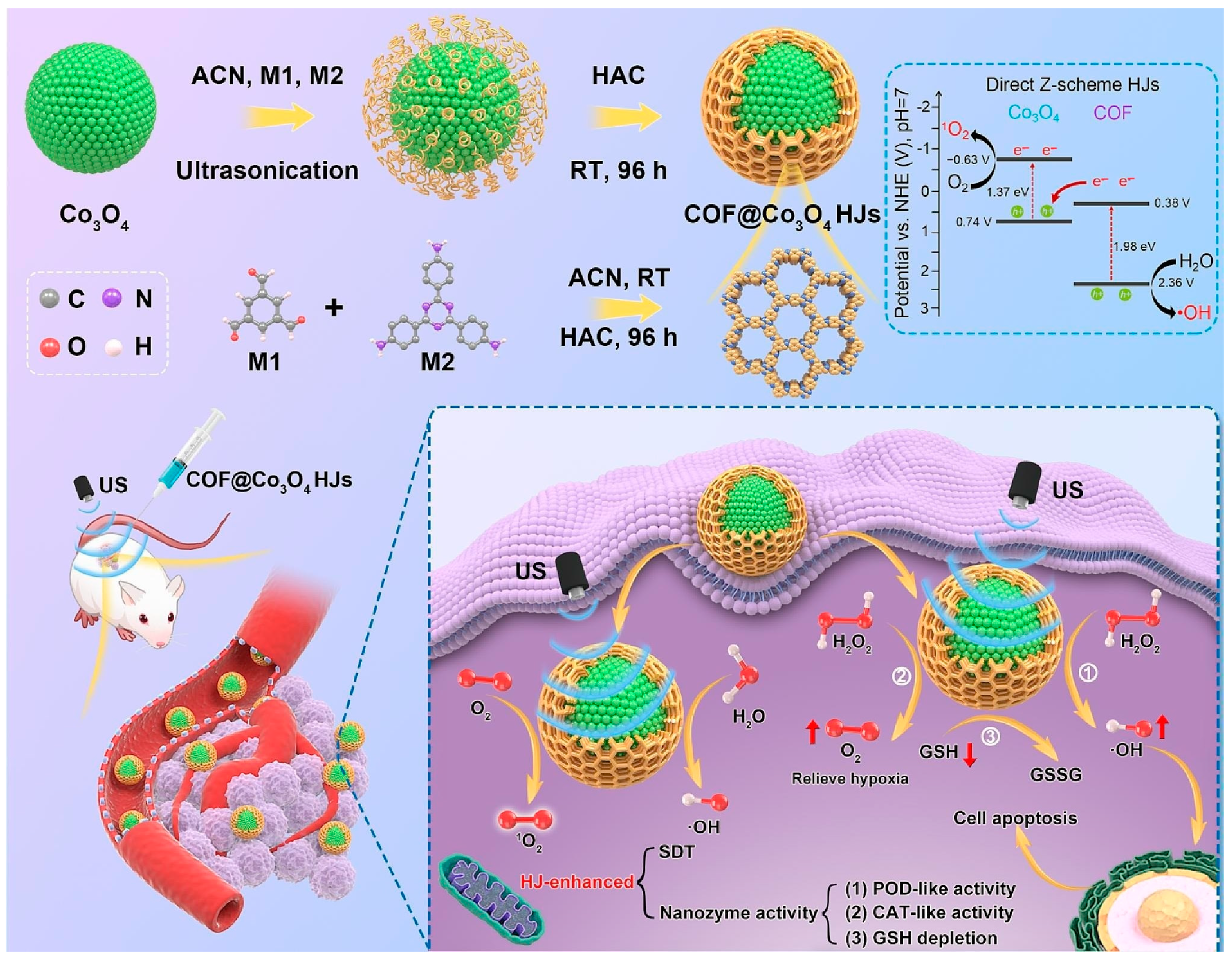 Biosensors 14 00163 g011