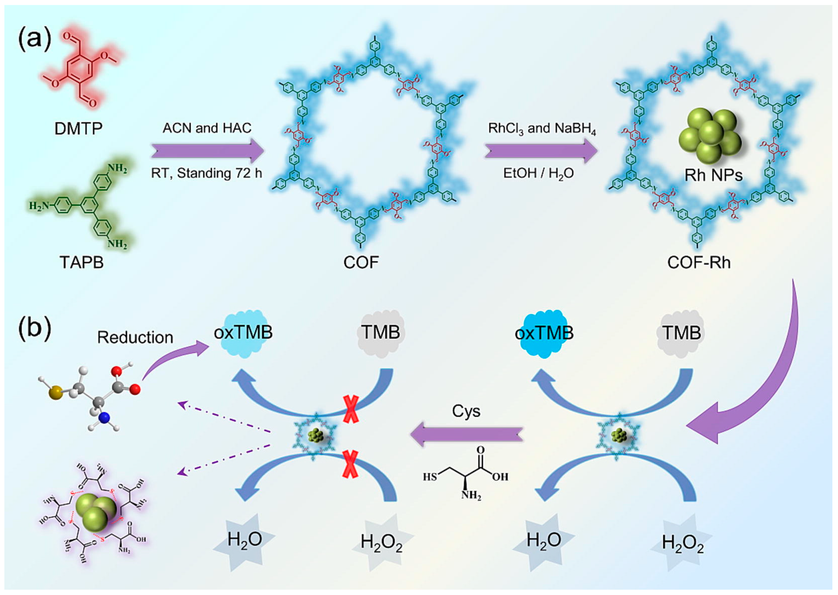 Biosensors 14 00163 g012