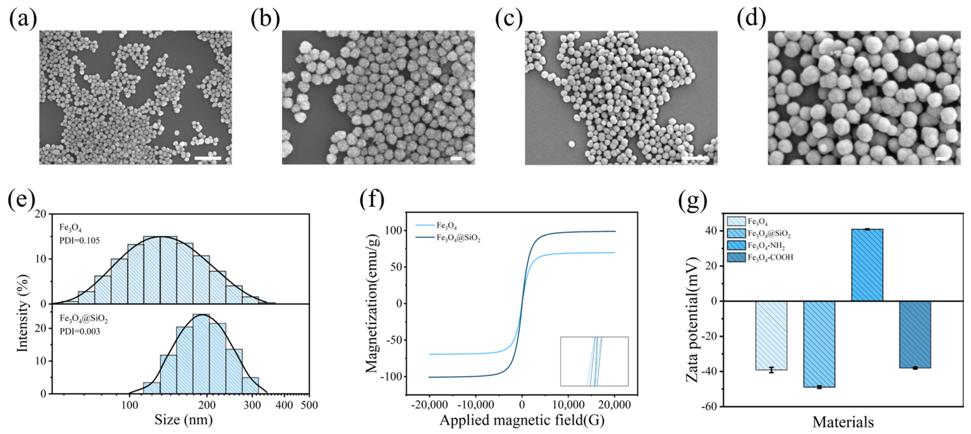 Biosensors 14 00164 g002