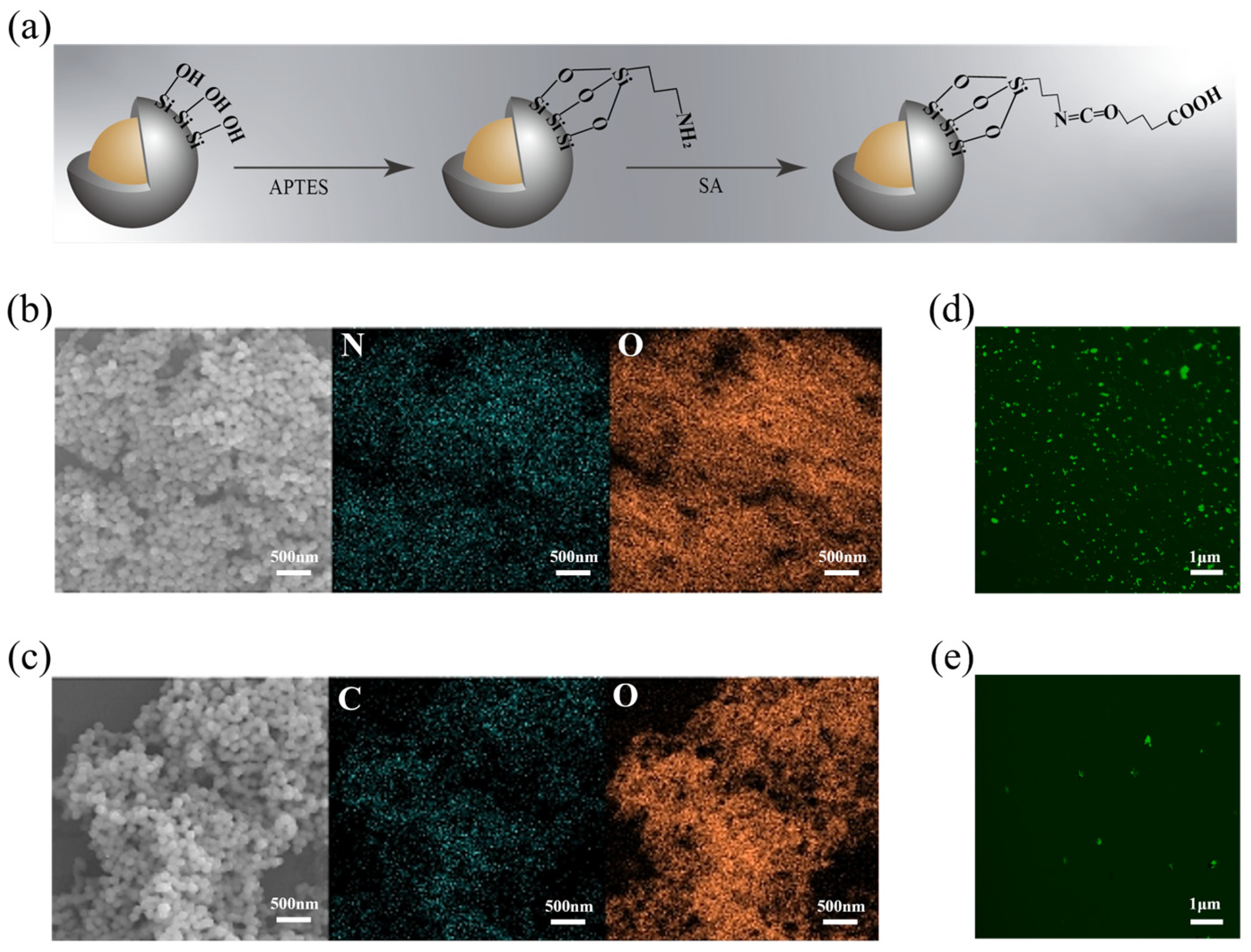 Biosensors 14 00164 g003