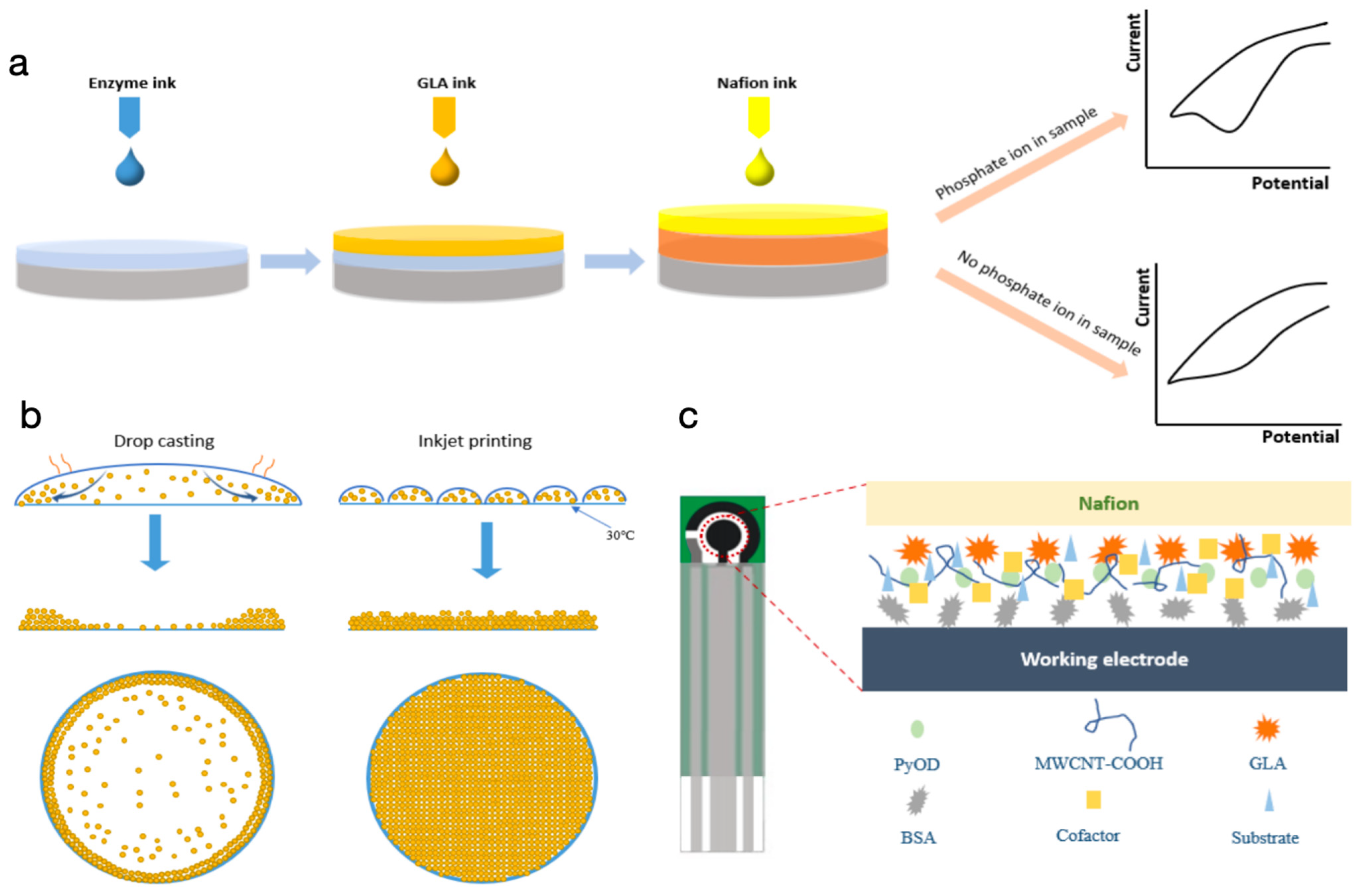 Biosensors 14 00168 g001