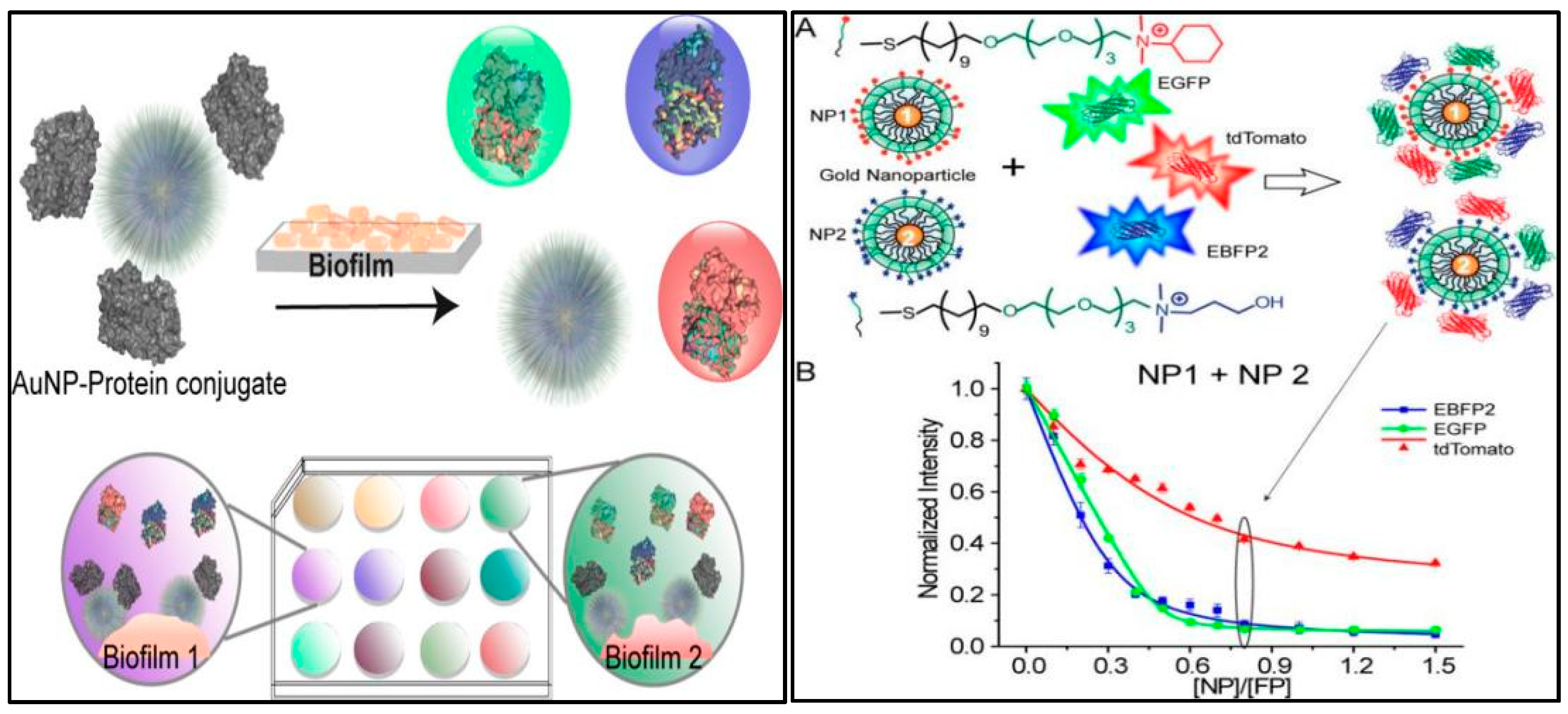 Biosensors 14 00170 g001 Biosensors 14 00170 g001
