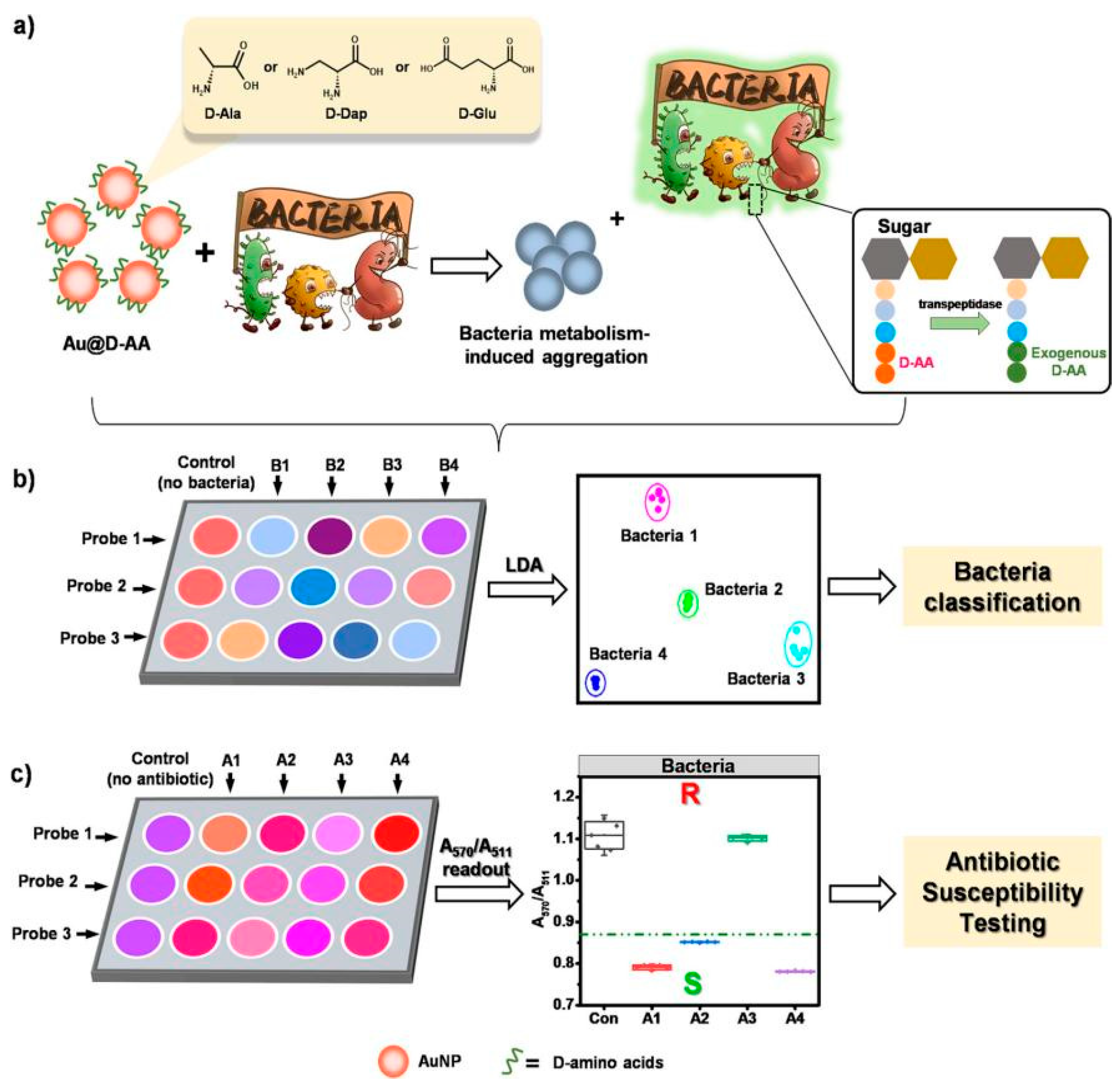 Biosensors 14 00170 g002 Biosensors 14 00170 g002