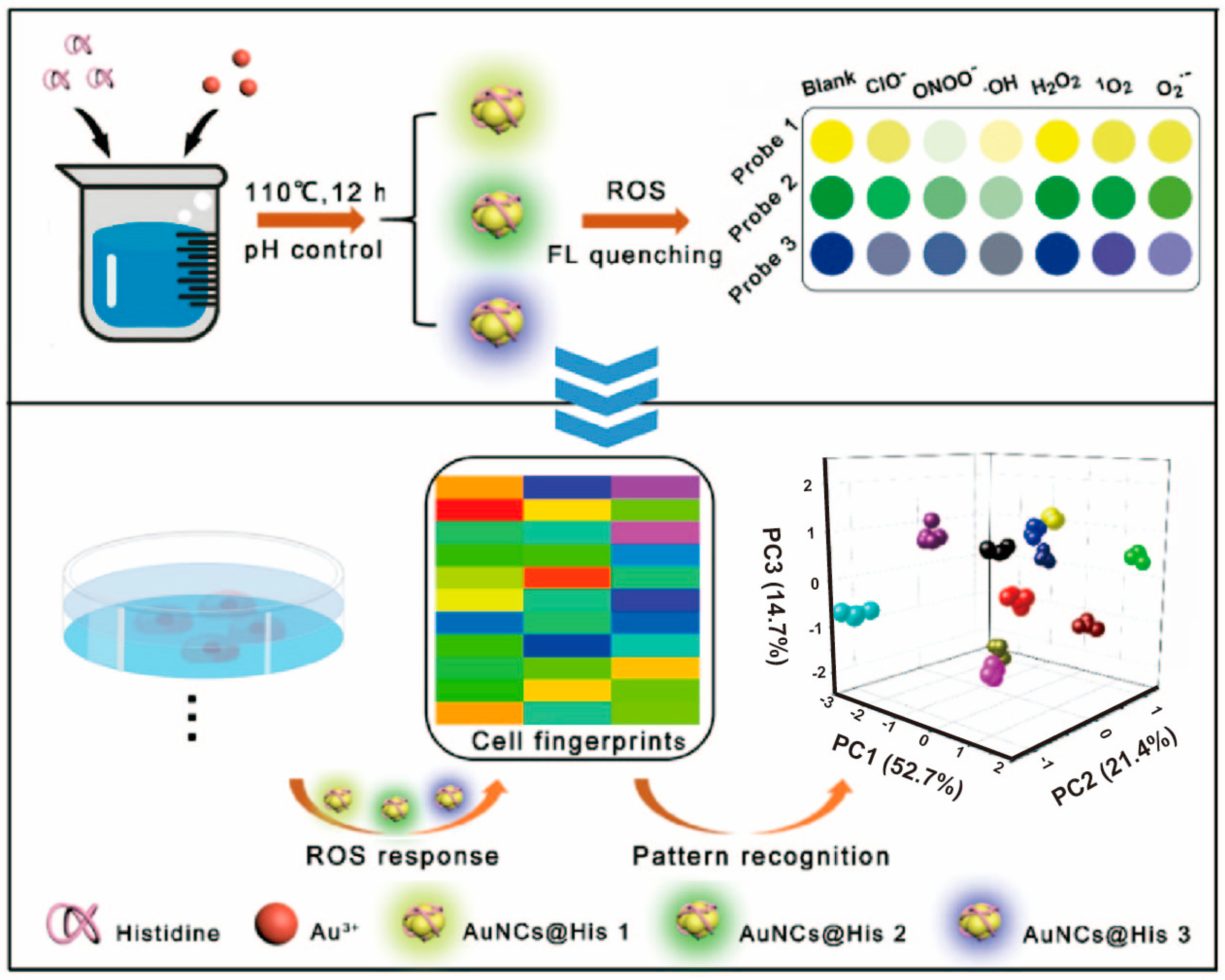 Biosensors 14 00170 g003 Biosensors 14 00170 g003