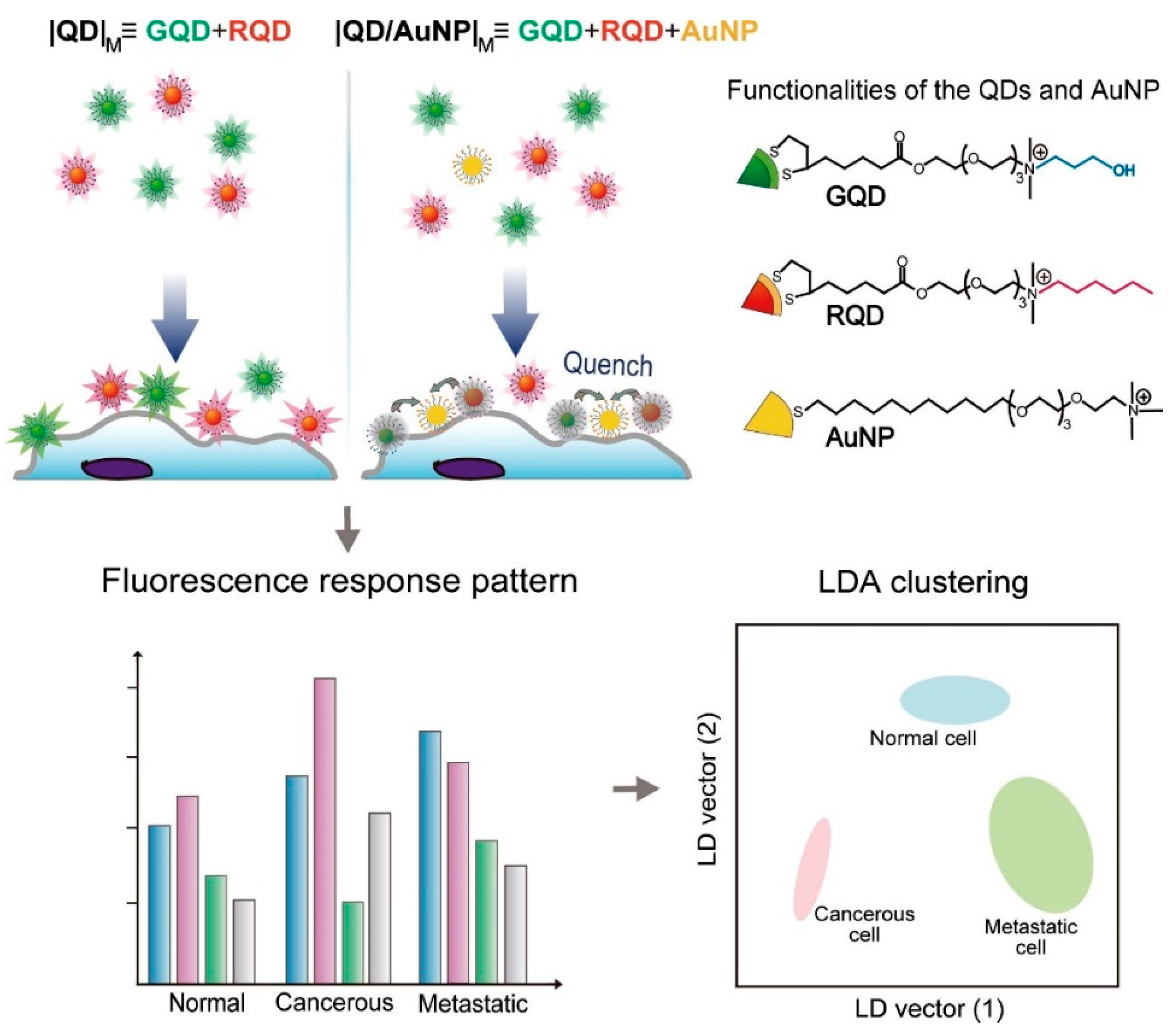 Biosensors 14 00170 g005 Biosensors 14 00170 g005