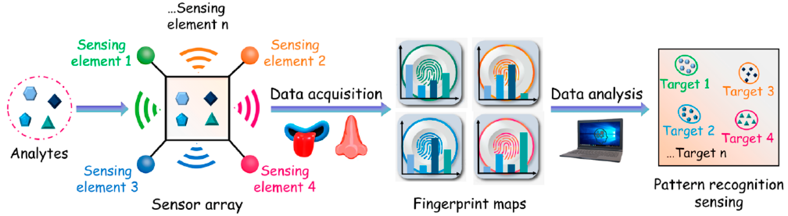 Biosensors 14 00170 sch001 Biosensors 14 00170 sch001