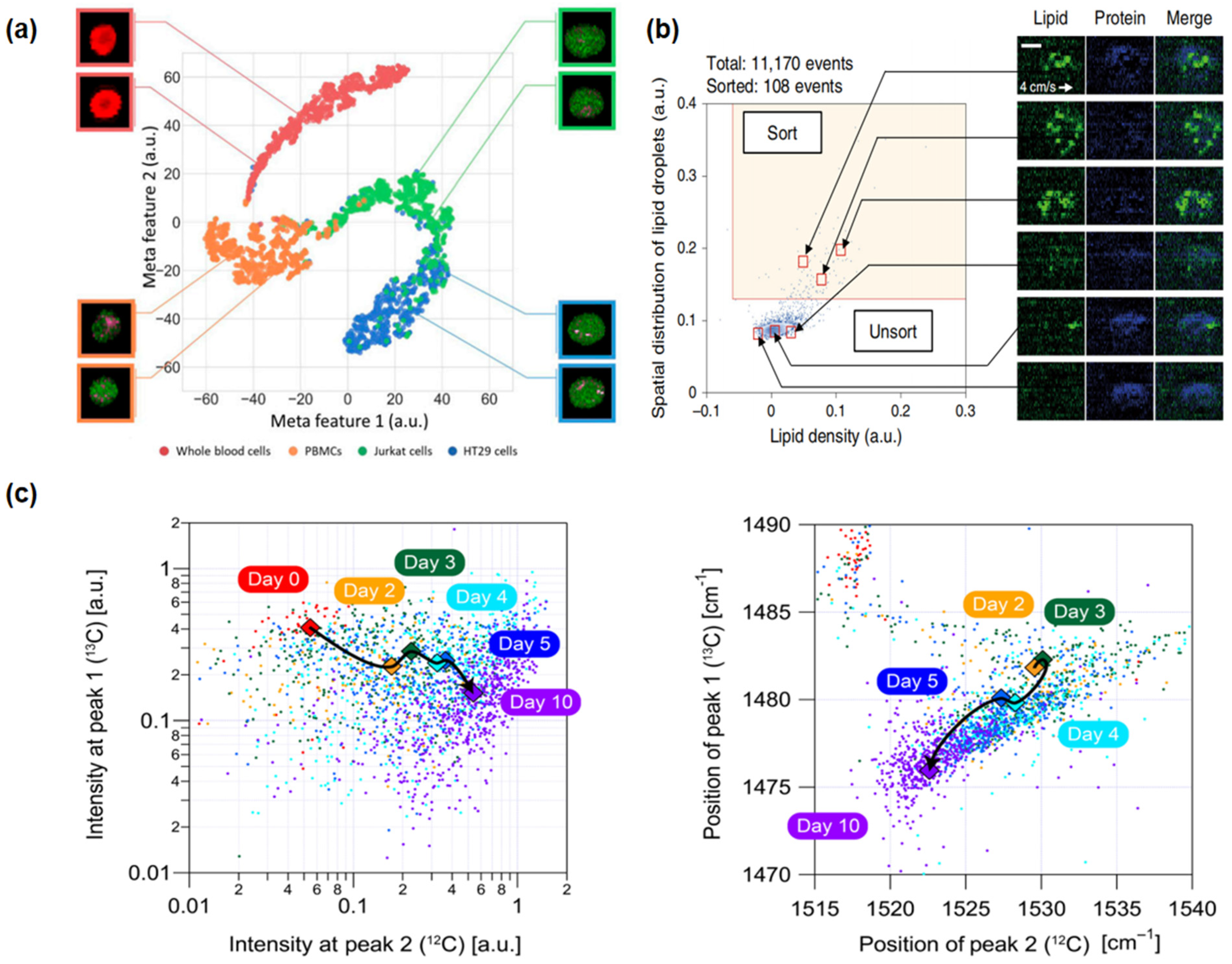 Biosensors 14 00171 g003 Biosensors 14 00171 g003