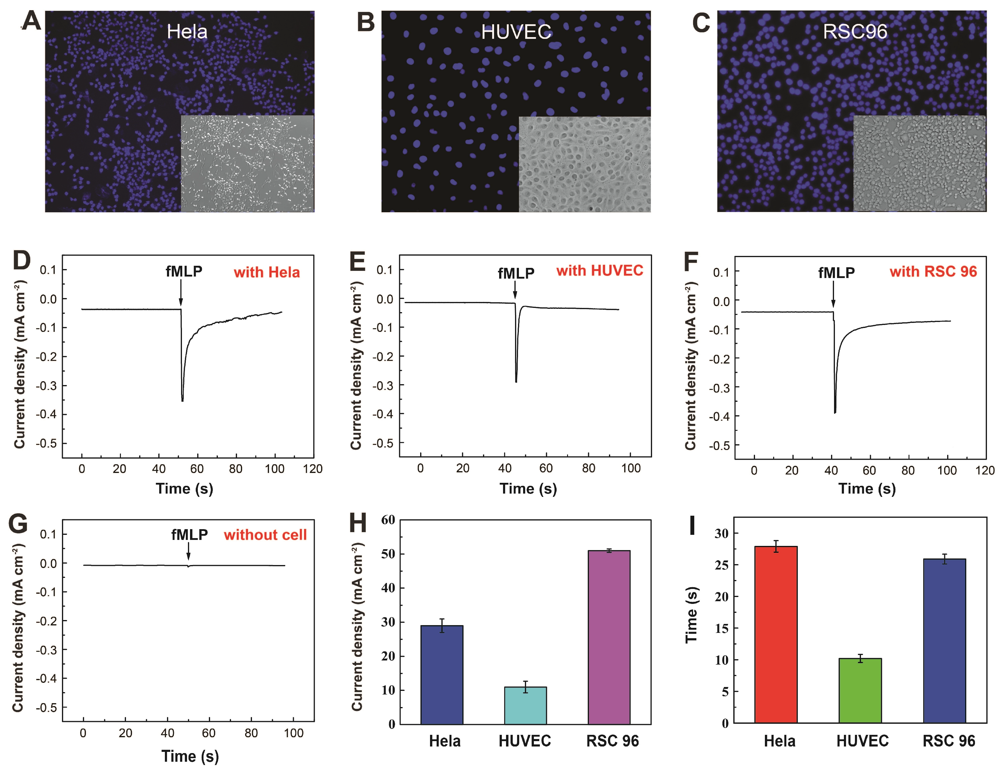 Biosensors 14 00172 g005