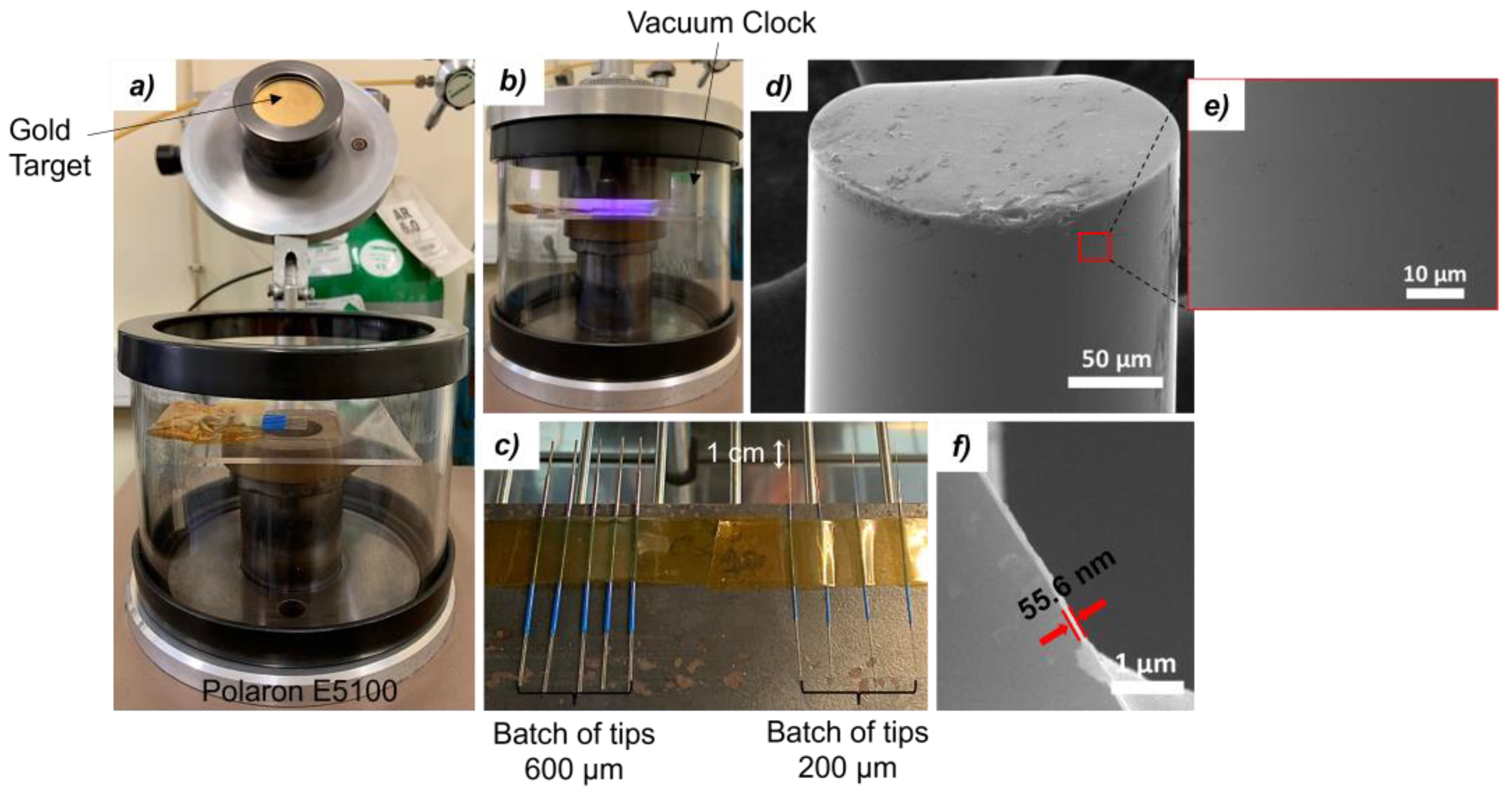 Biosensors 14 00173 g001