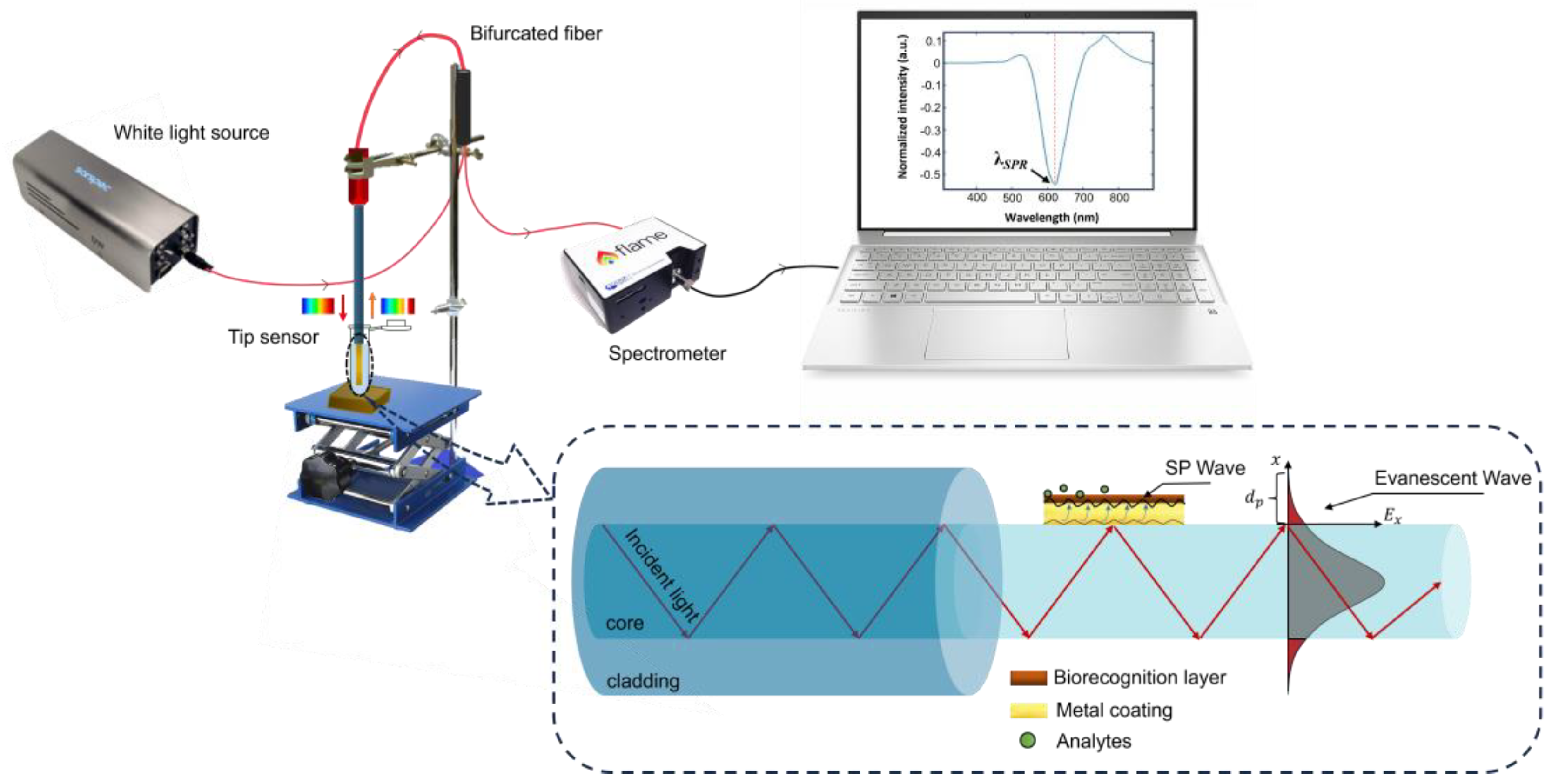 Biosensors 14 00173 g002