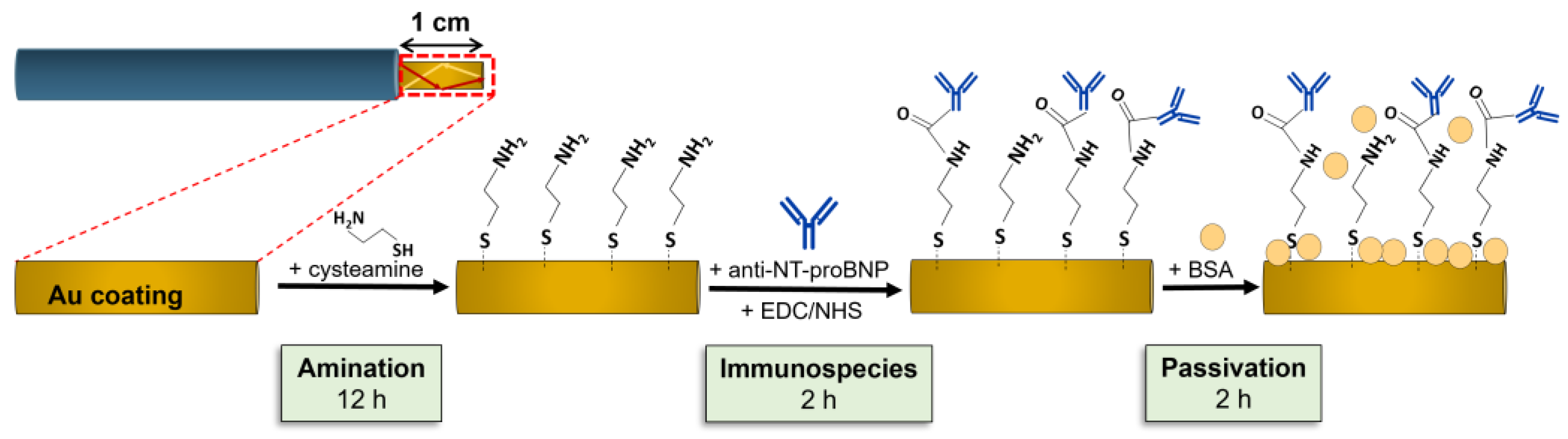 Biosensors 14 00173 g003