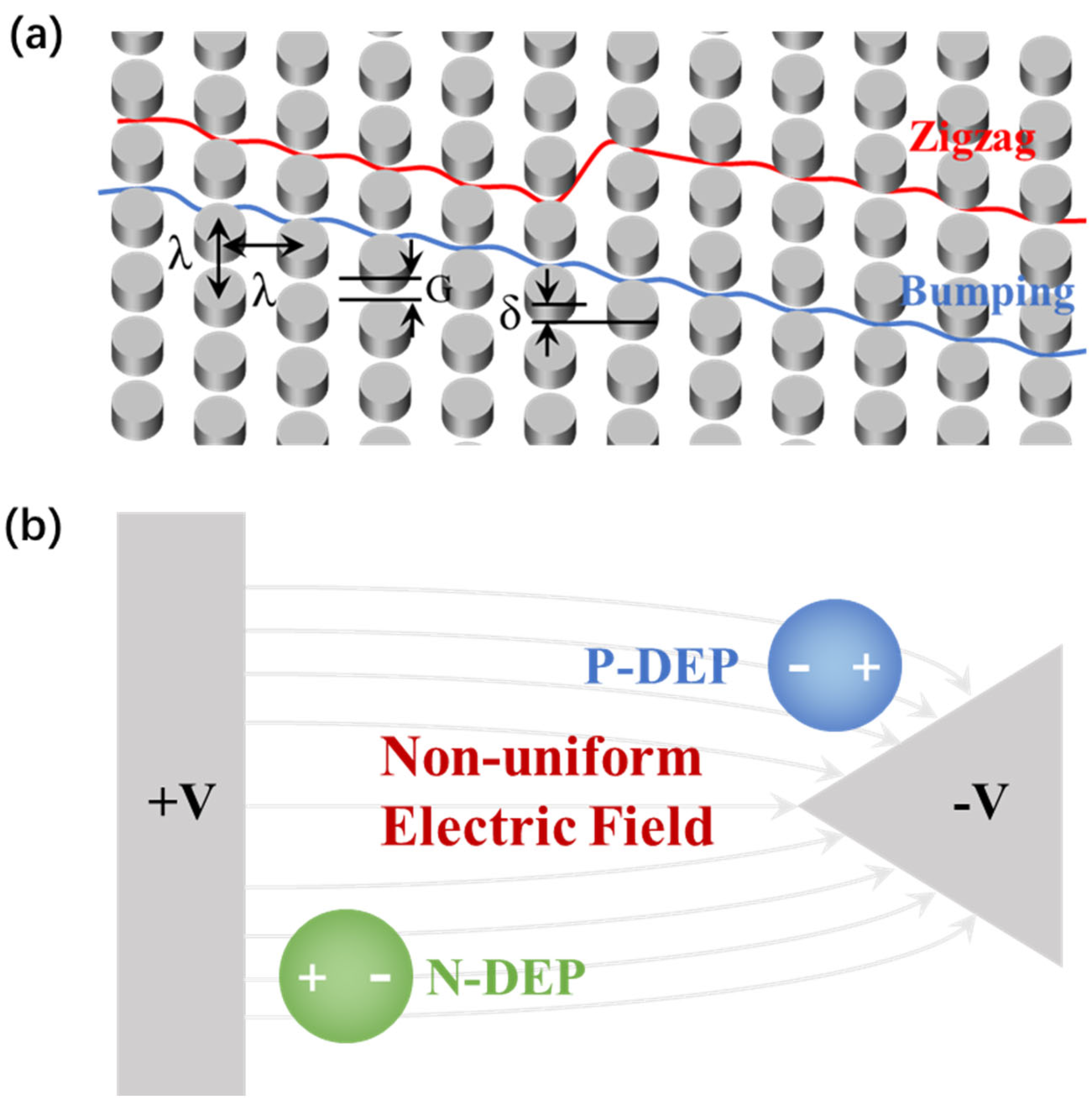 Biosensors 14 00174 g002