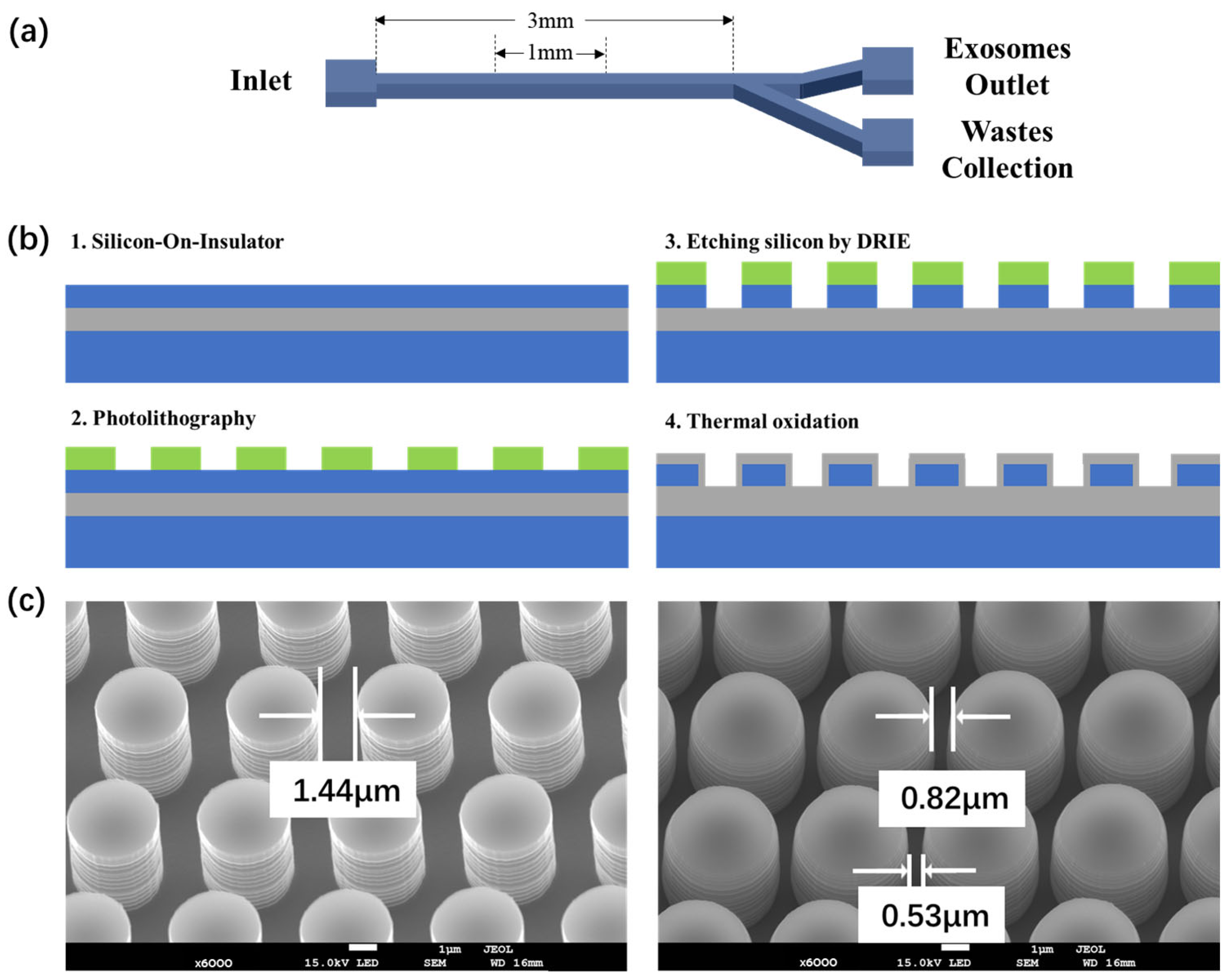 Biosensors 14 00174 g003