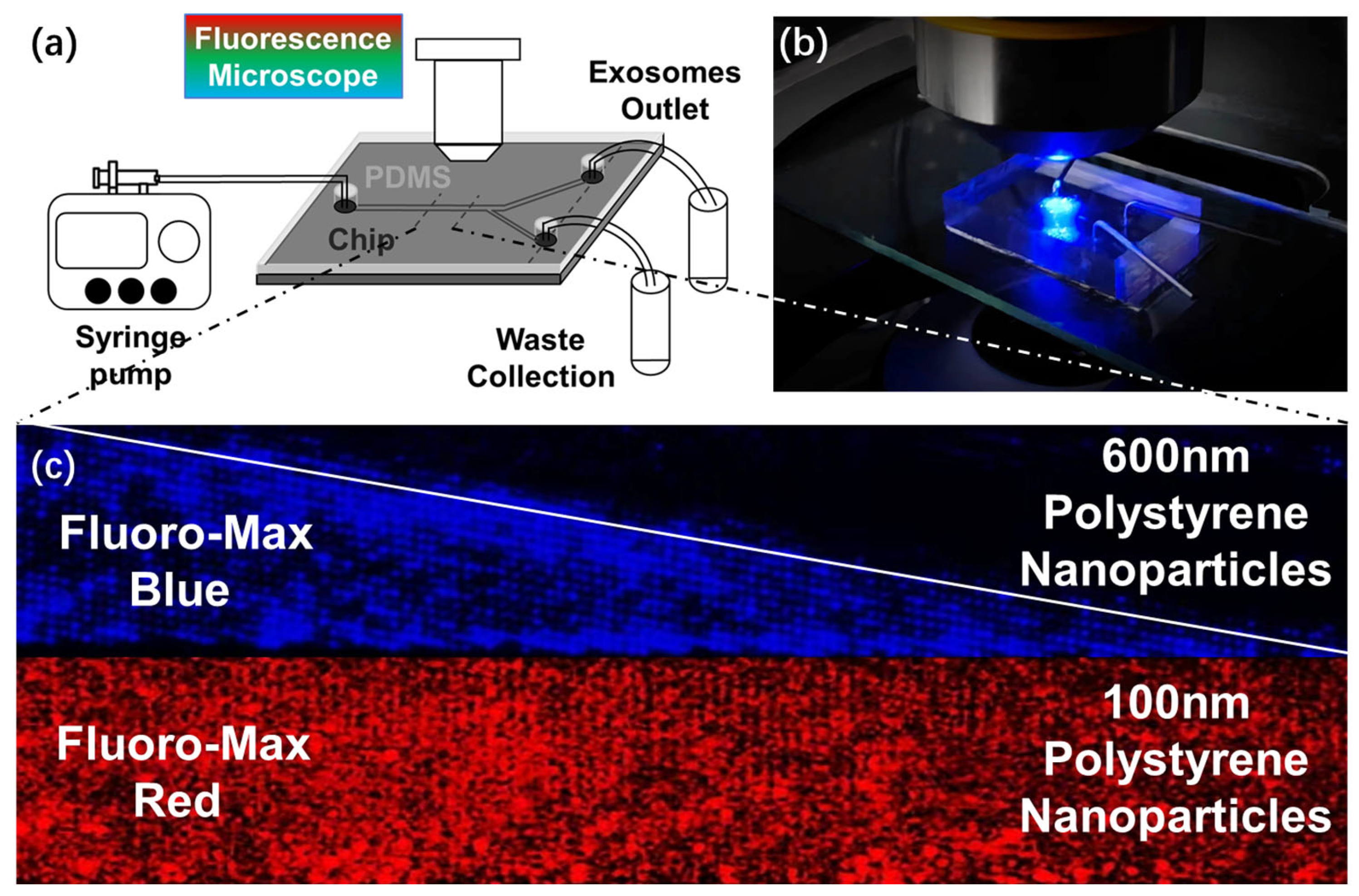Biosensors 14 00174 g004