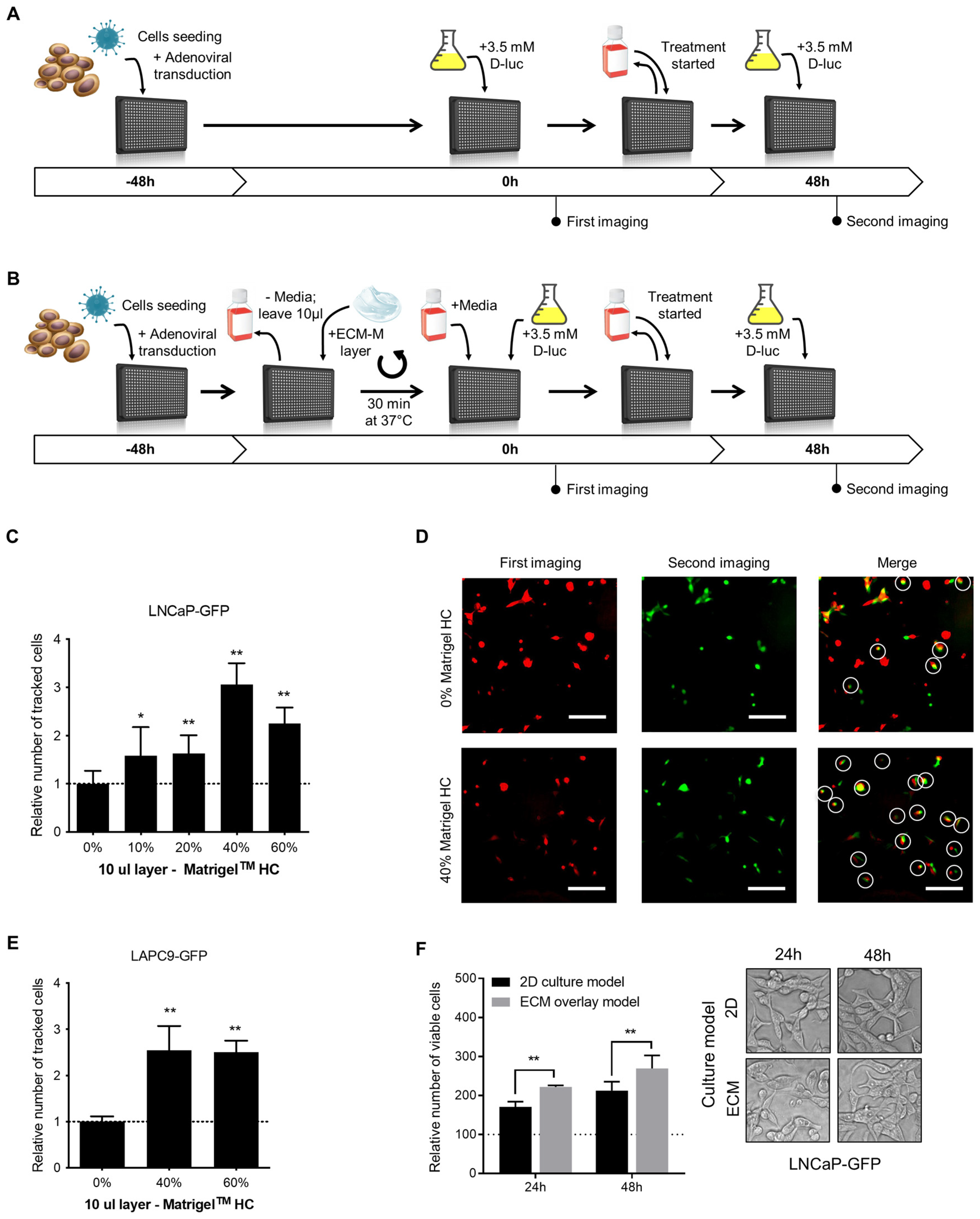 Biosensors 14 00175 g001