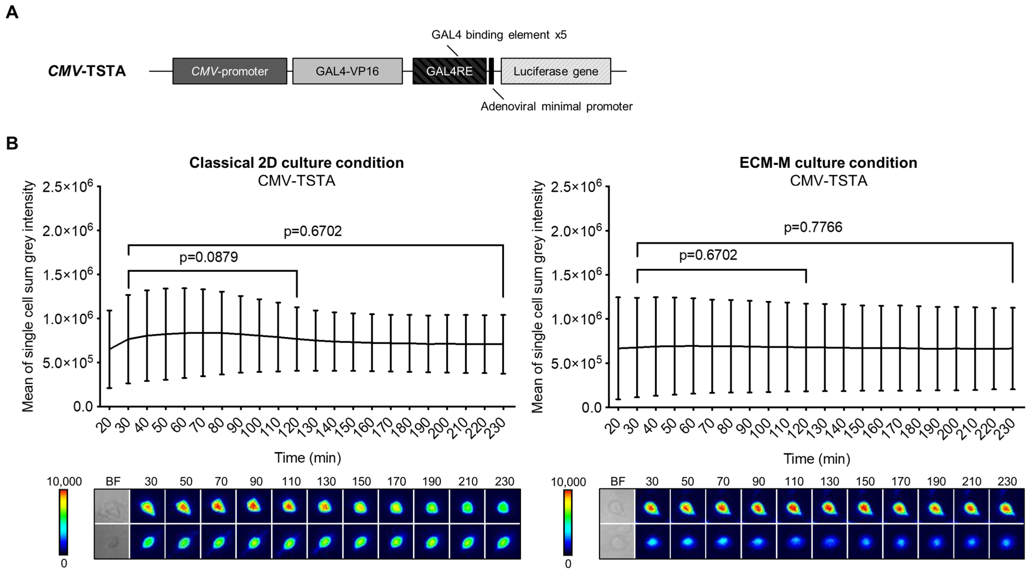 Biosensors 14 00175 g002