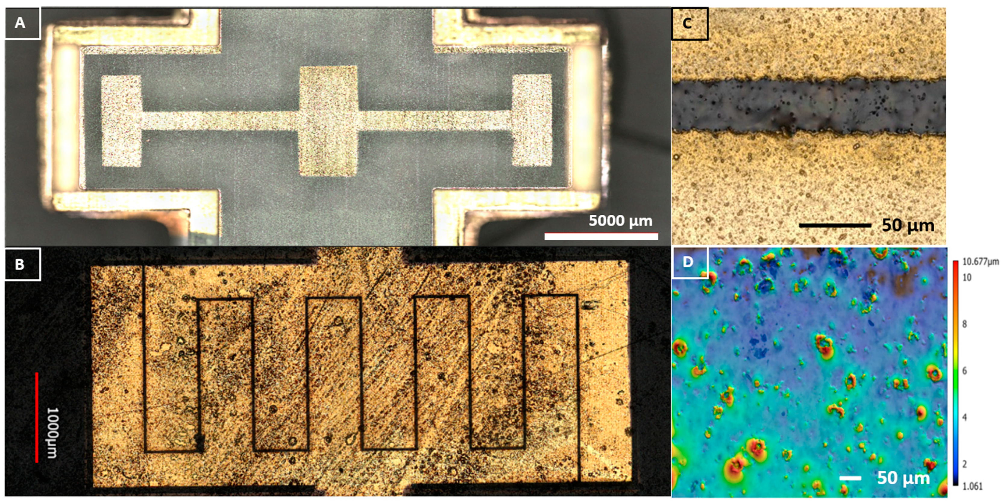 Biosensors 14 00176 g006