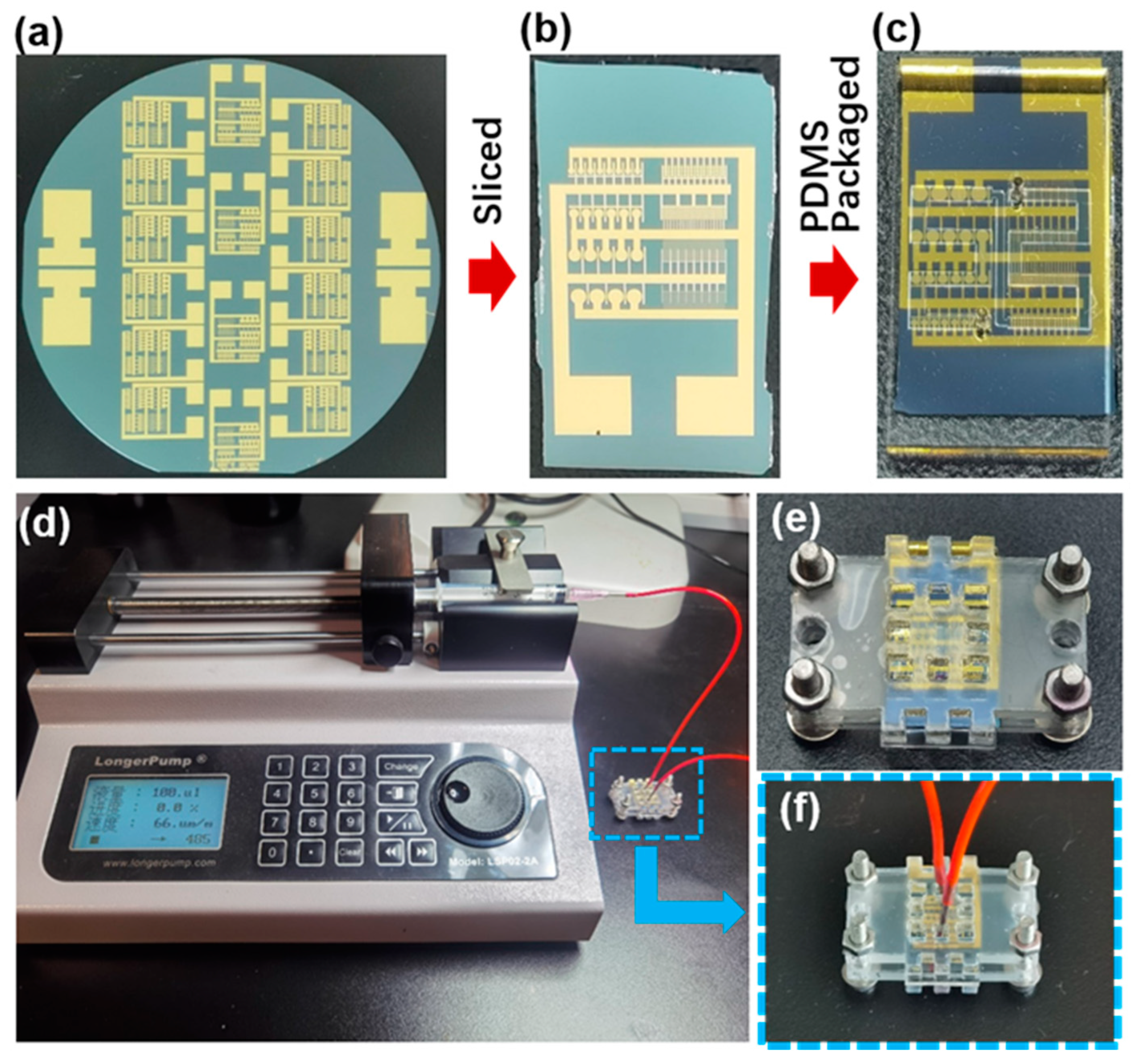 Biosensors 14 00177 g005