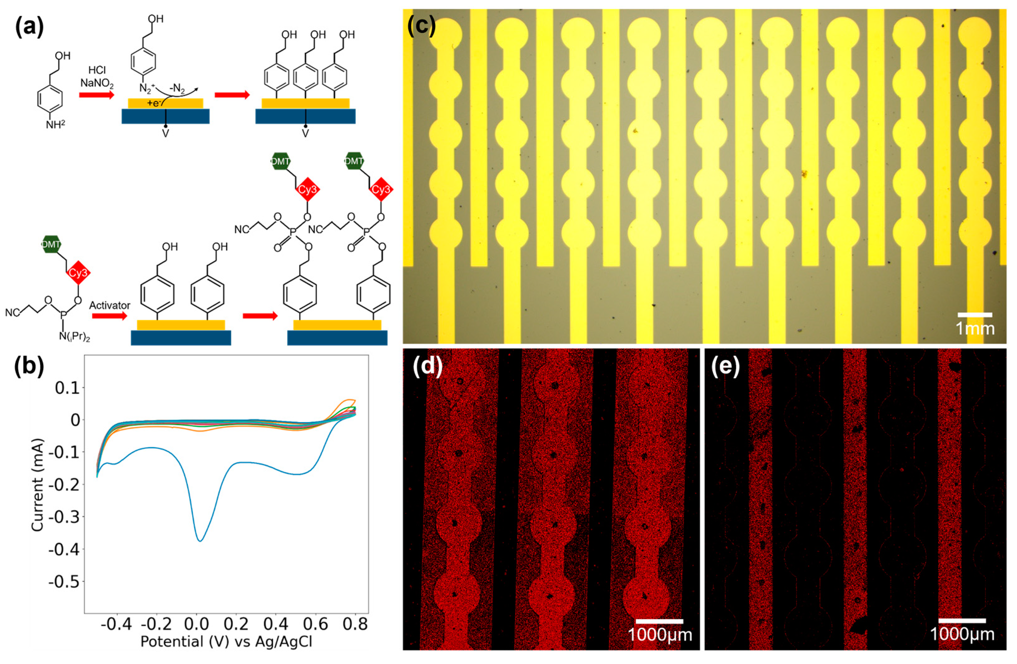 Biosensors 14 00177 g006
