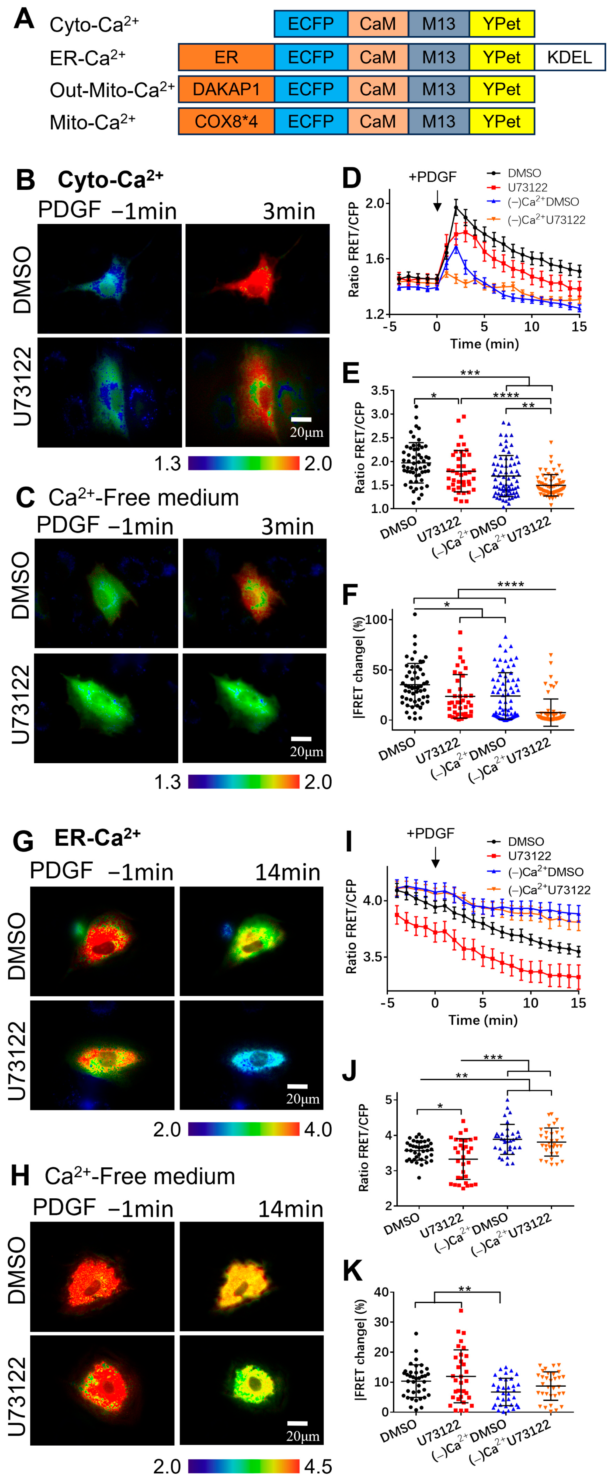 Biosensors 14 00179 g001 Biosensors 14 00179 g001