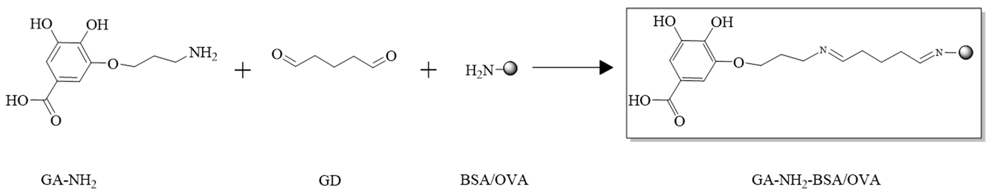 Biosensors 14 00182 g002 Biosensors 14 00182 g002