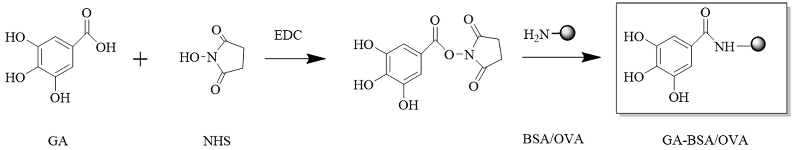Biosensors 14 00182 g003 Biosensors 14 00182 g003