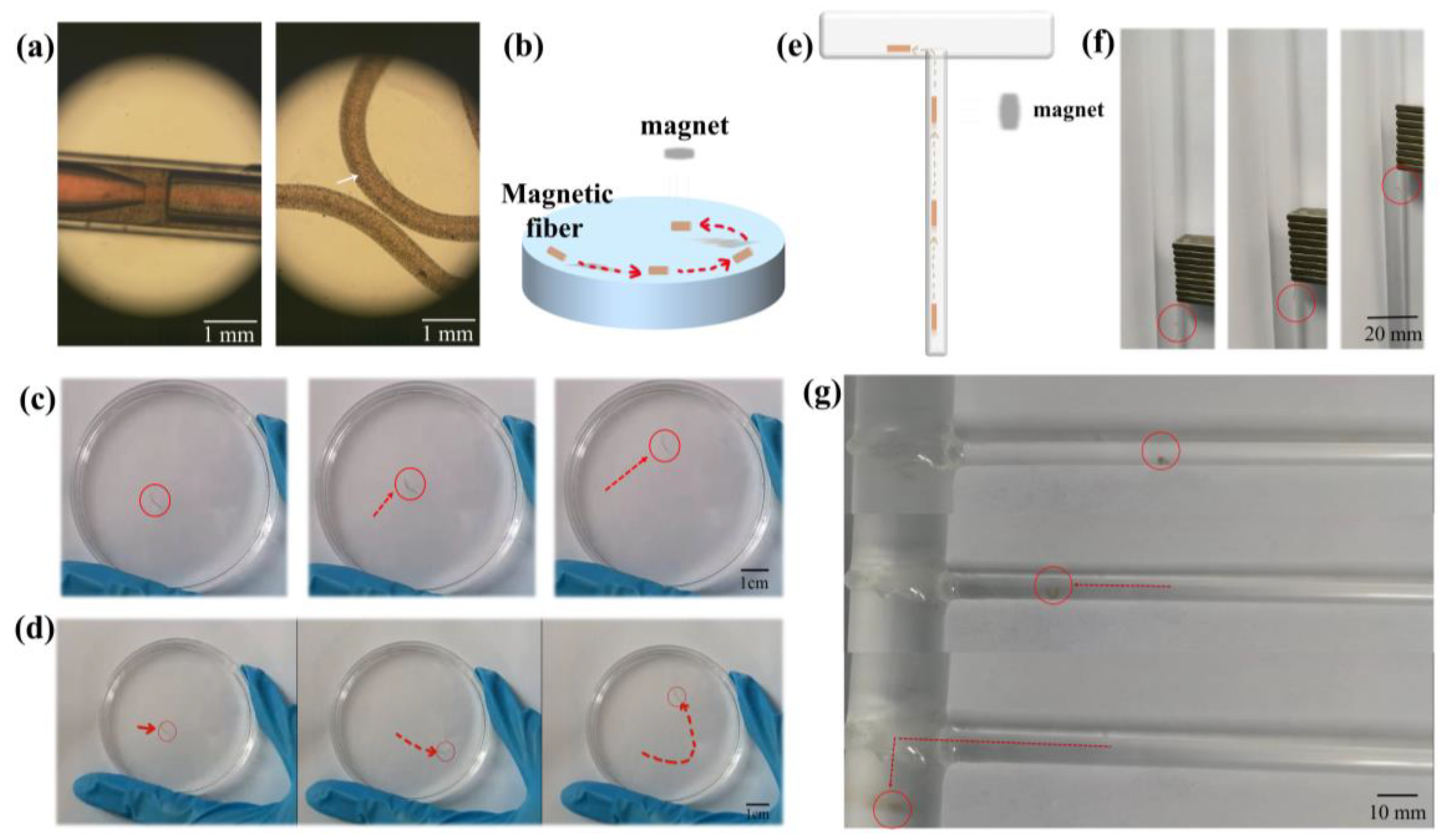Biosensors 14 00186 g004 Biosensors 14 00186 g004