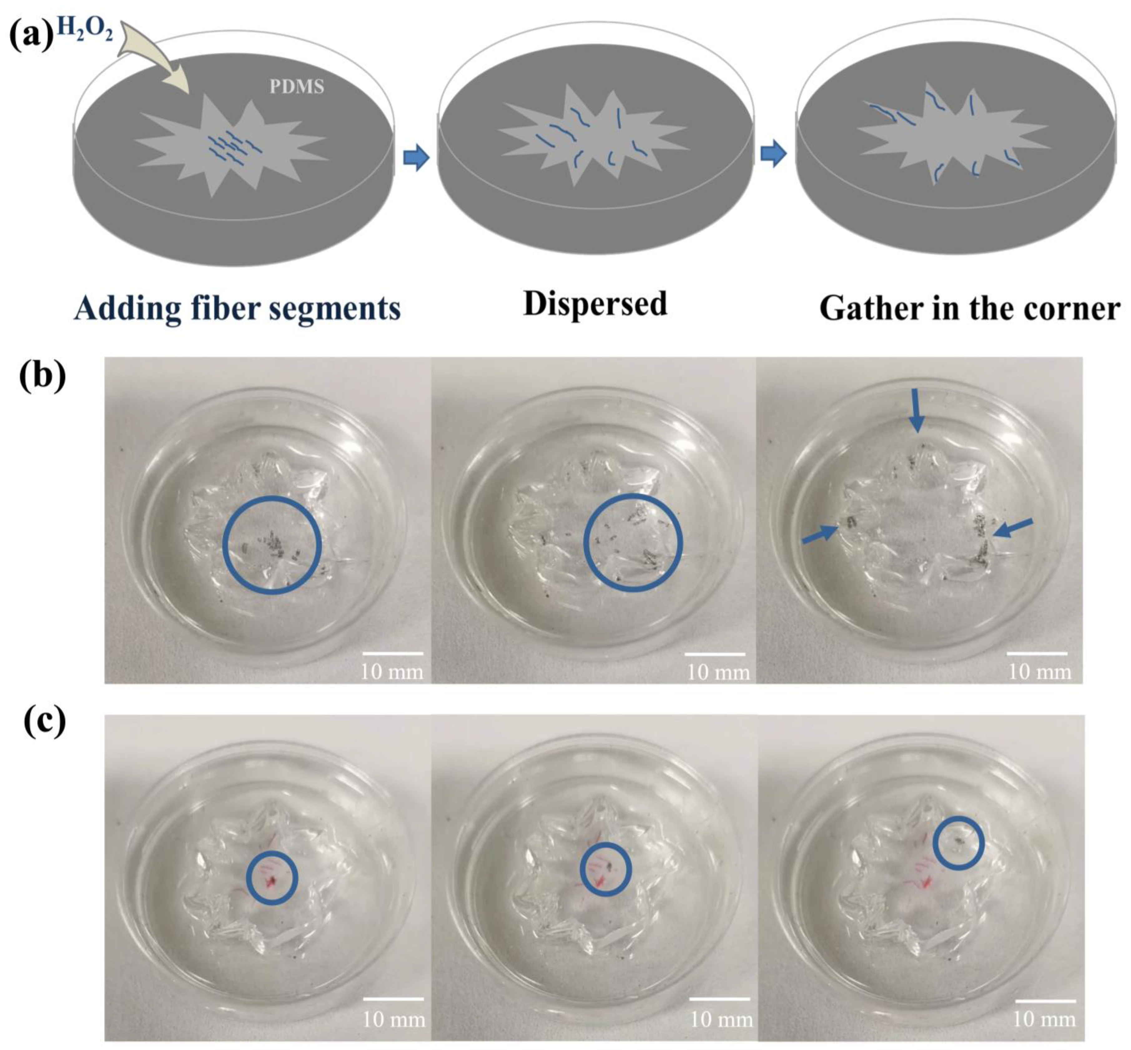 Biosensors 14 00186 g005 Biosensors 14 00186 g005
