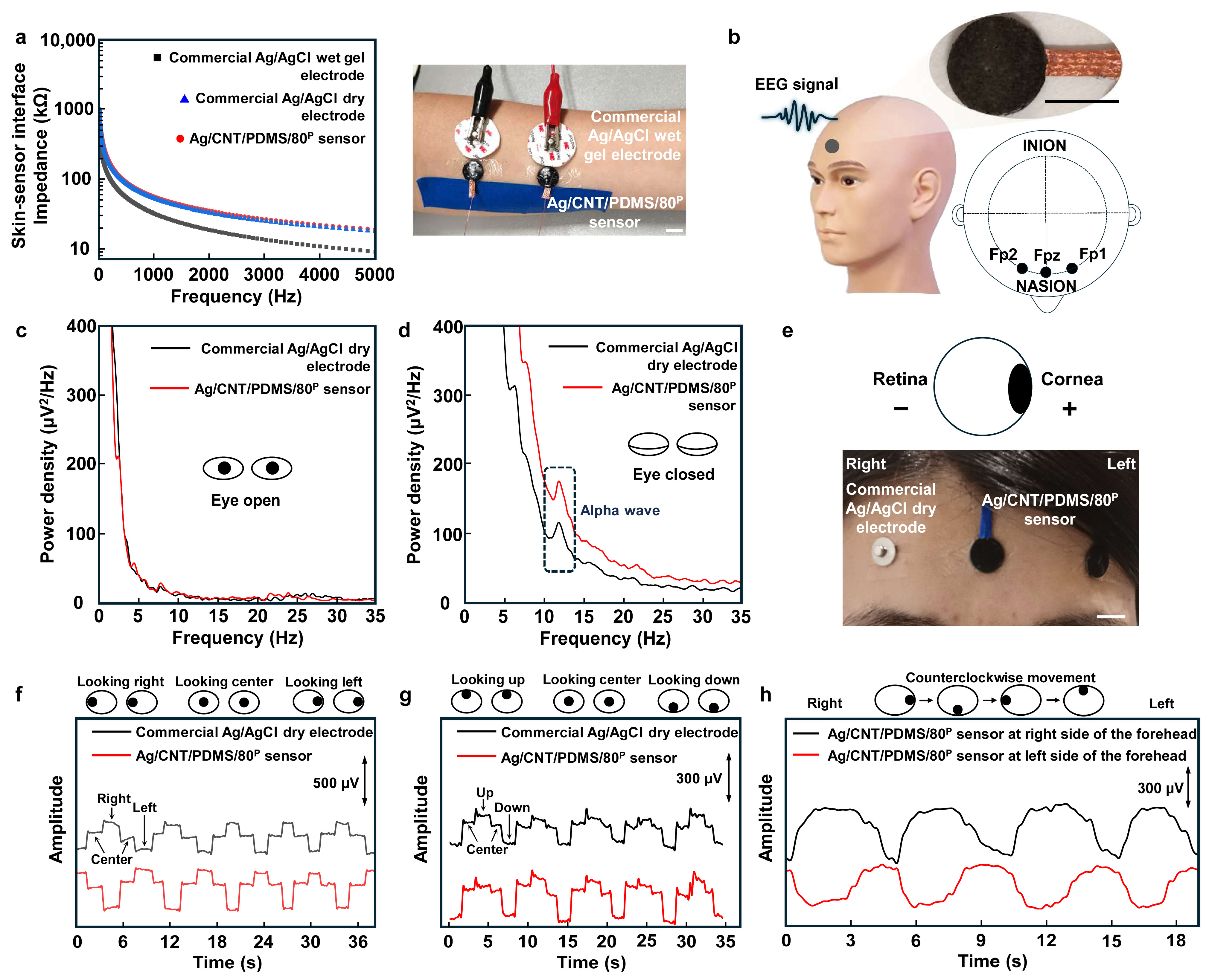 Biosensors 14 00188 g005