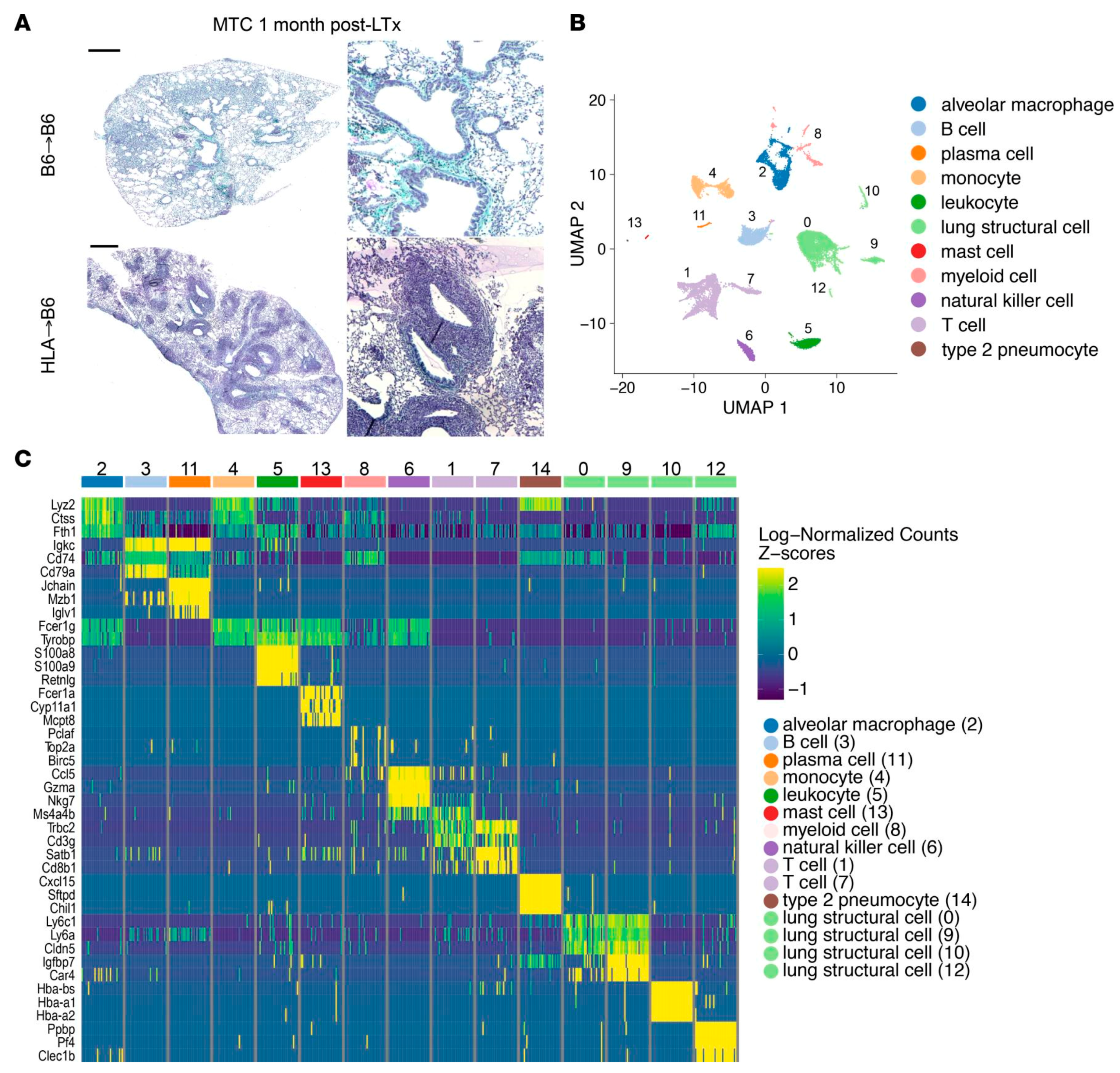 Biosensors 14 00189 g004
