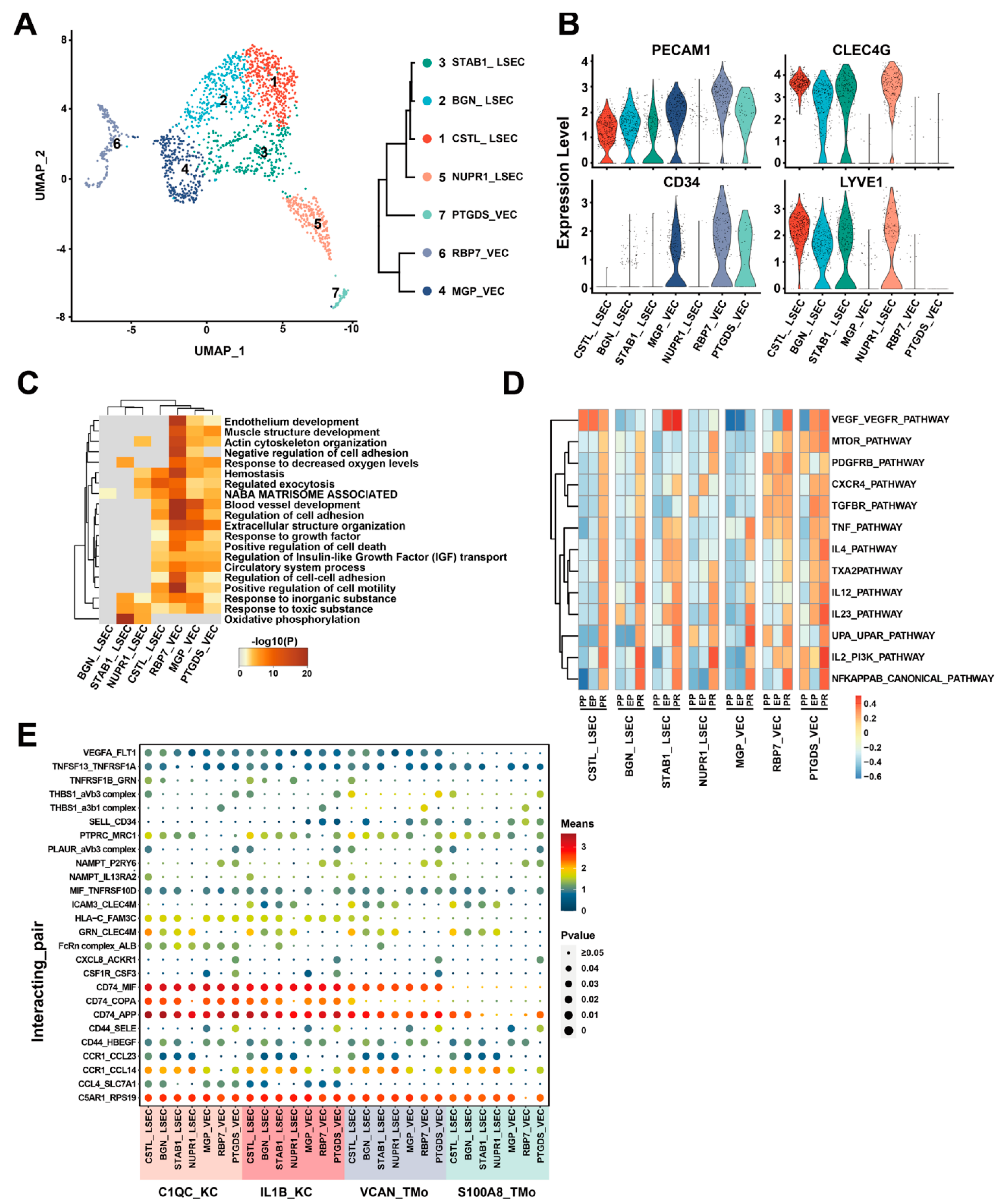 Biosensors 14 00189 g005