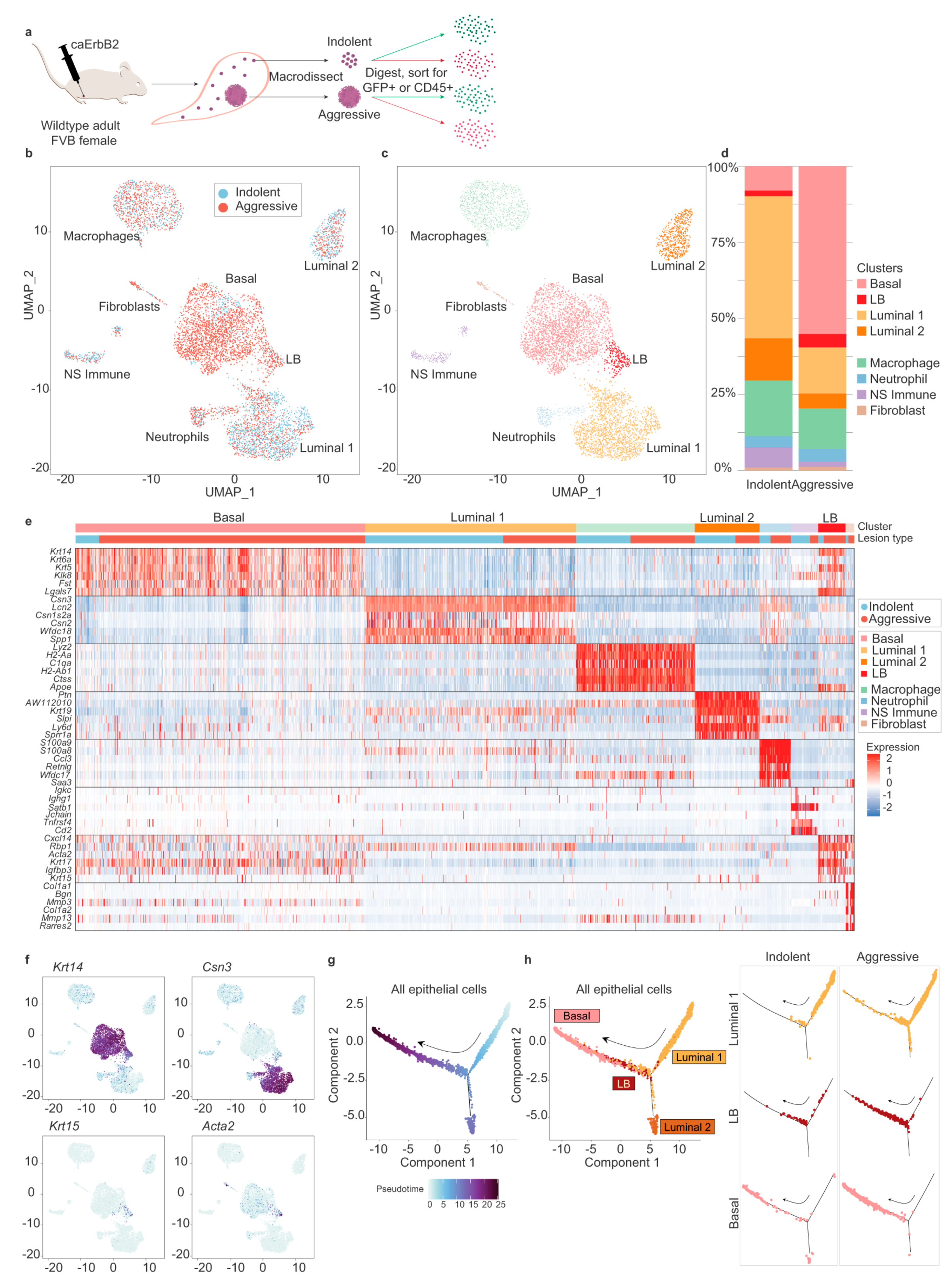 Biosensors 14 00189 g007