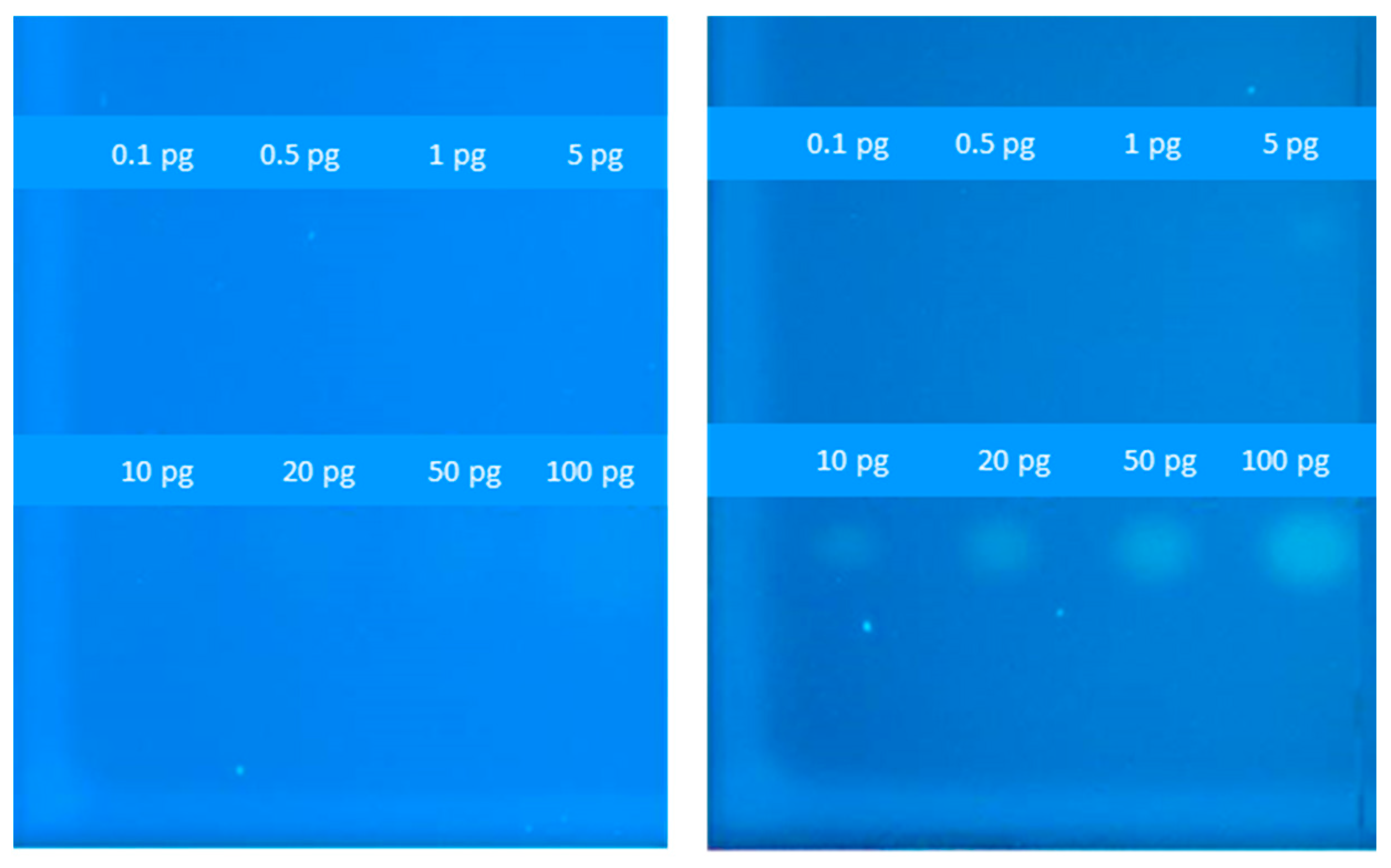 Biosensors 14 00193 g003