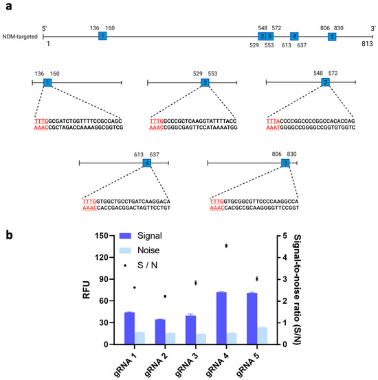 A CRISPR/Cas12a-Based System for Sensitive Detection of