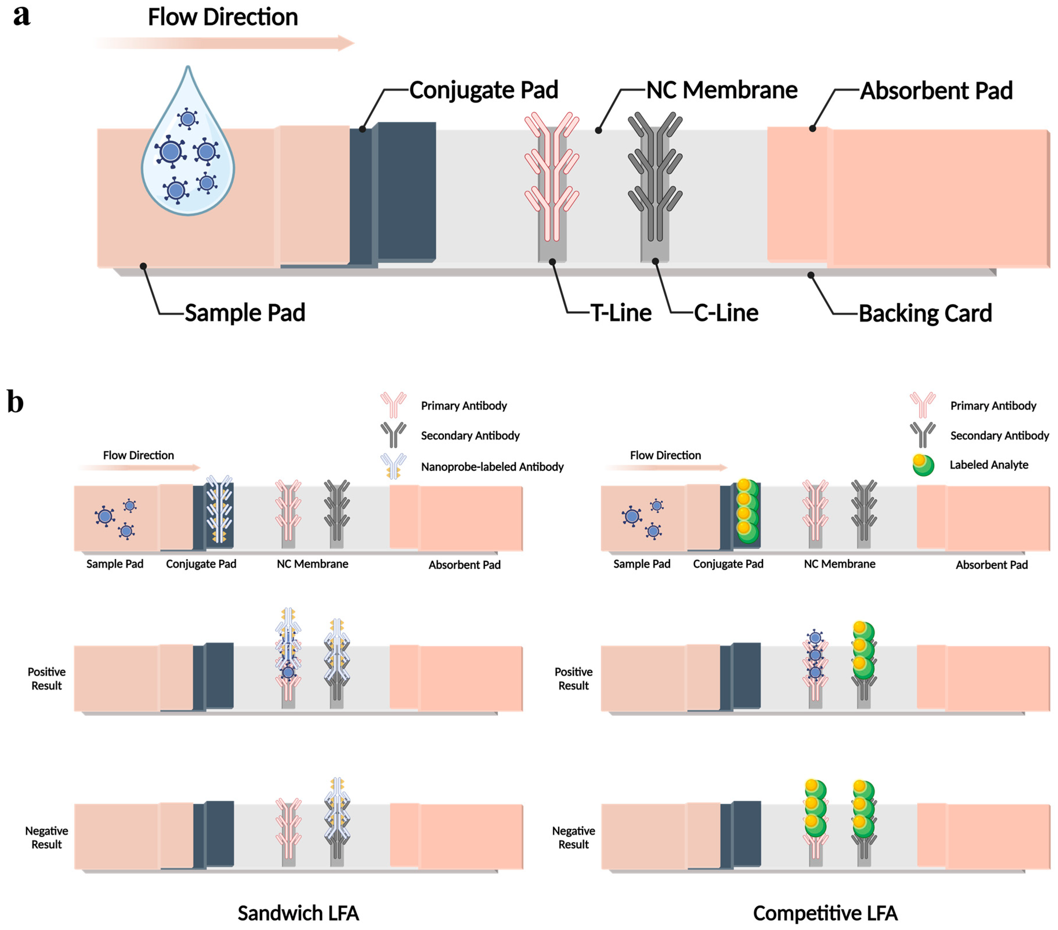 Biosensors 14 00197 g001