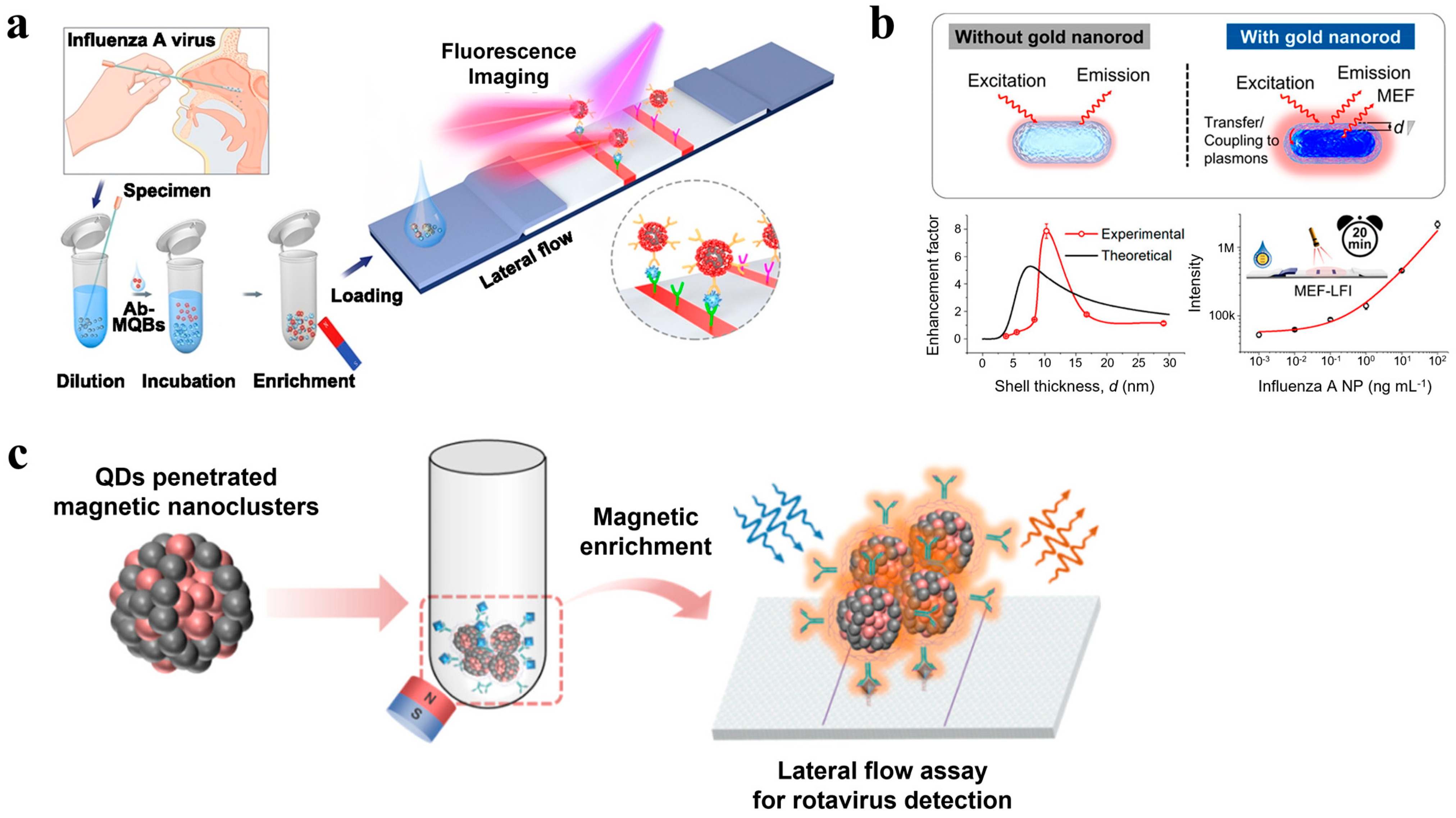 Biosensors 14 00197 g003