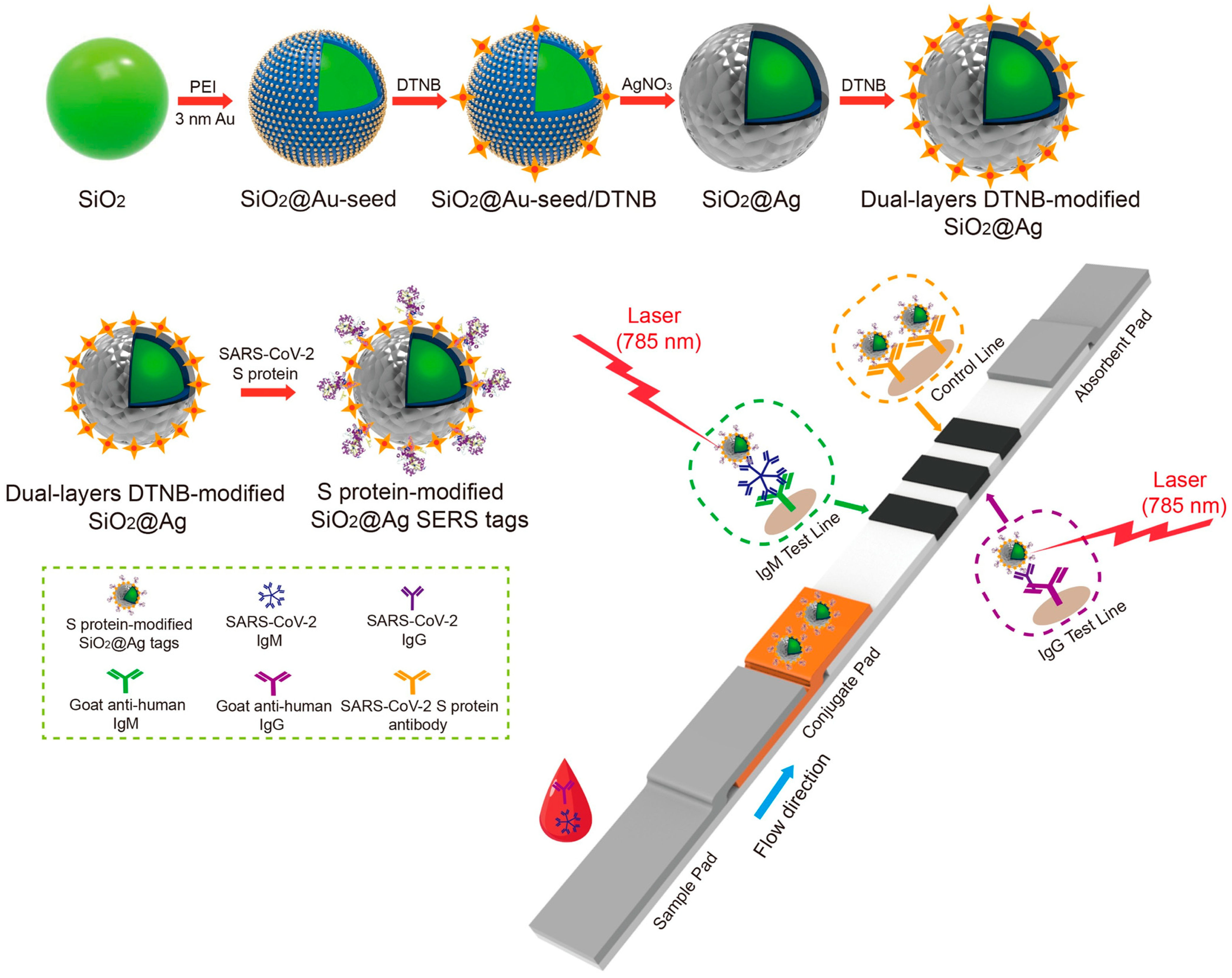 Biosensors 14 00197 g004