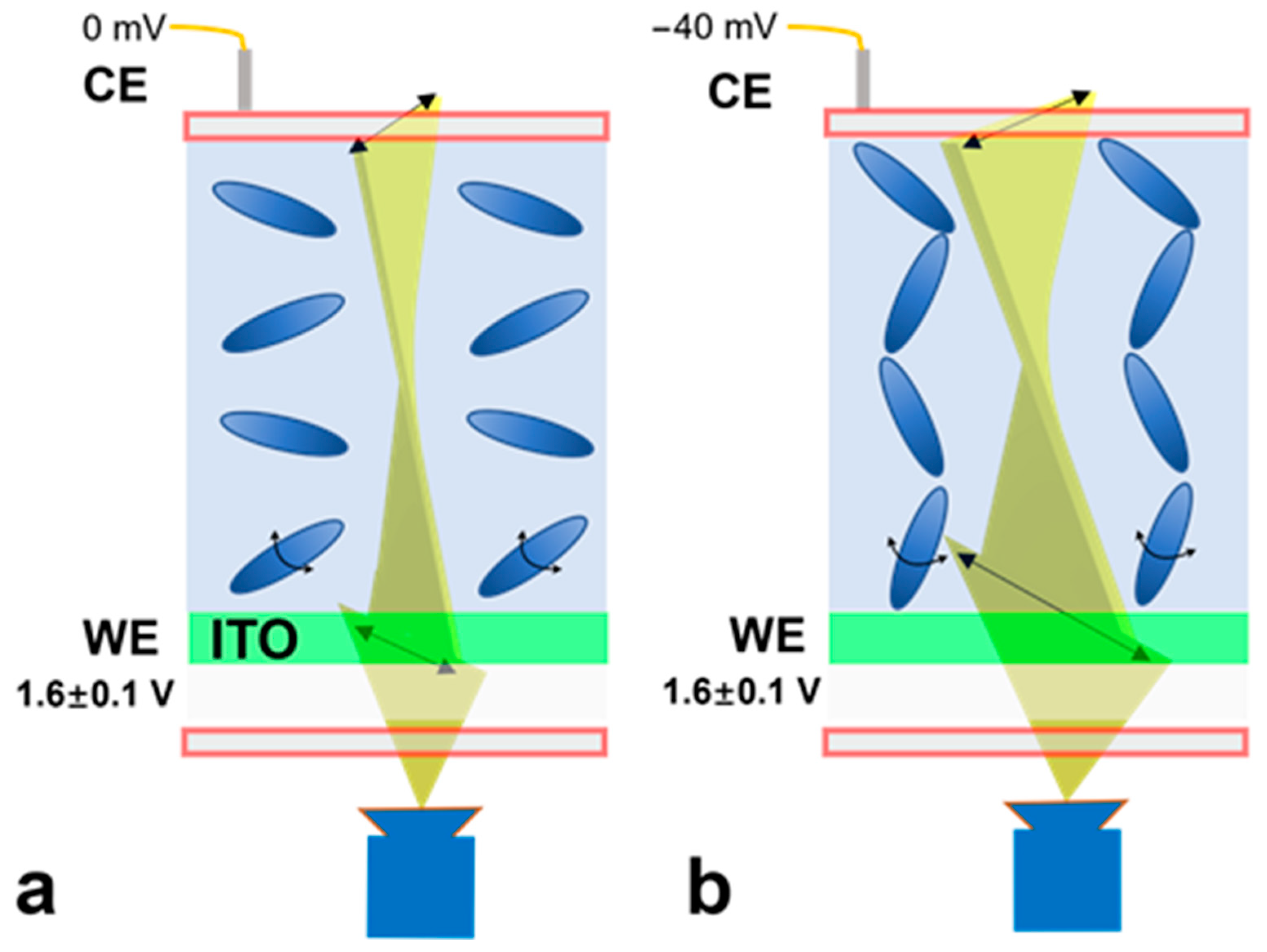 Biosensors 14 00199 g002